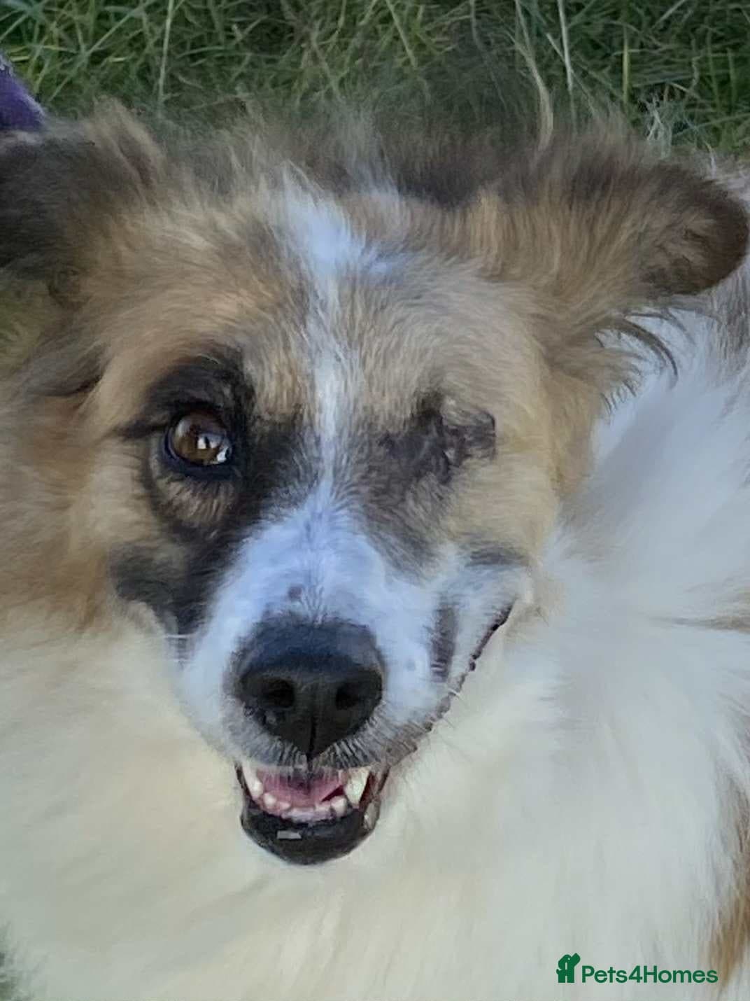 Jessie ❤️ photo 2