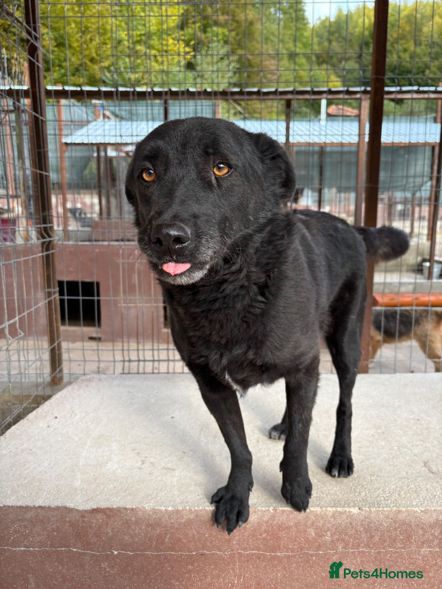 Dragos 💙 photo 11