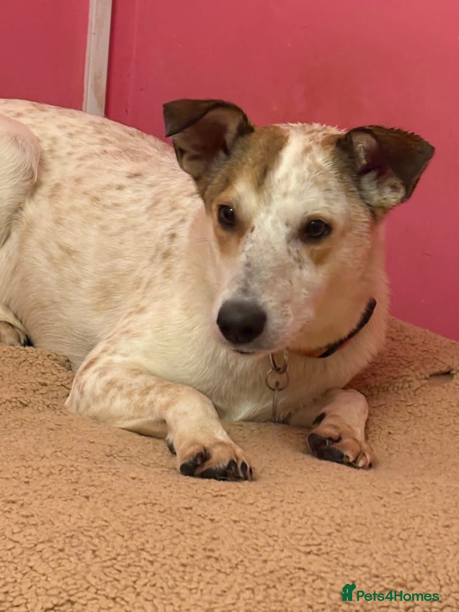 Trinity - Norwich Norfolk photo 6