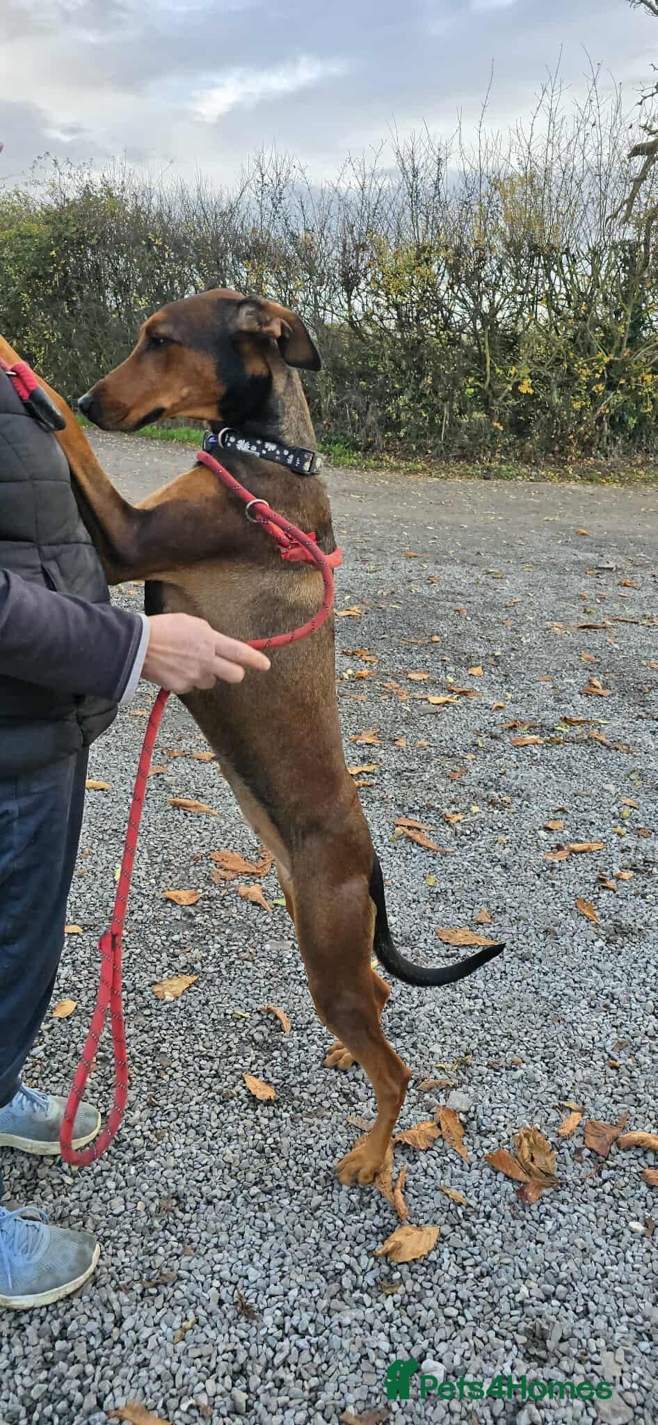 BONNIE ๐ Playful, Loving Girl photo 10