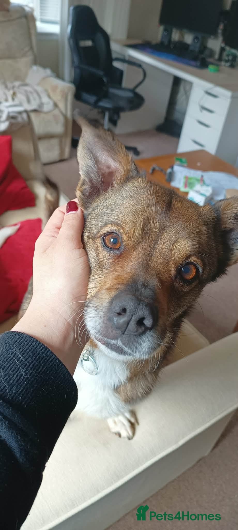 Erica - Norwich Norfolk photo 2