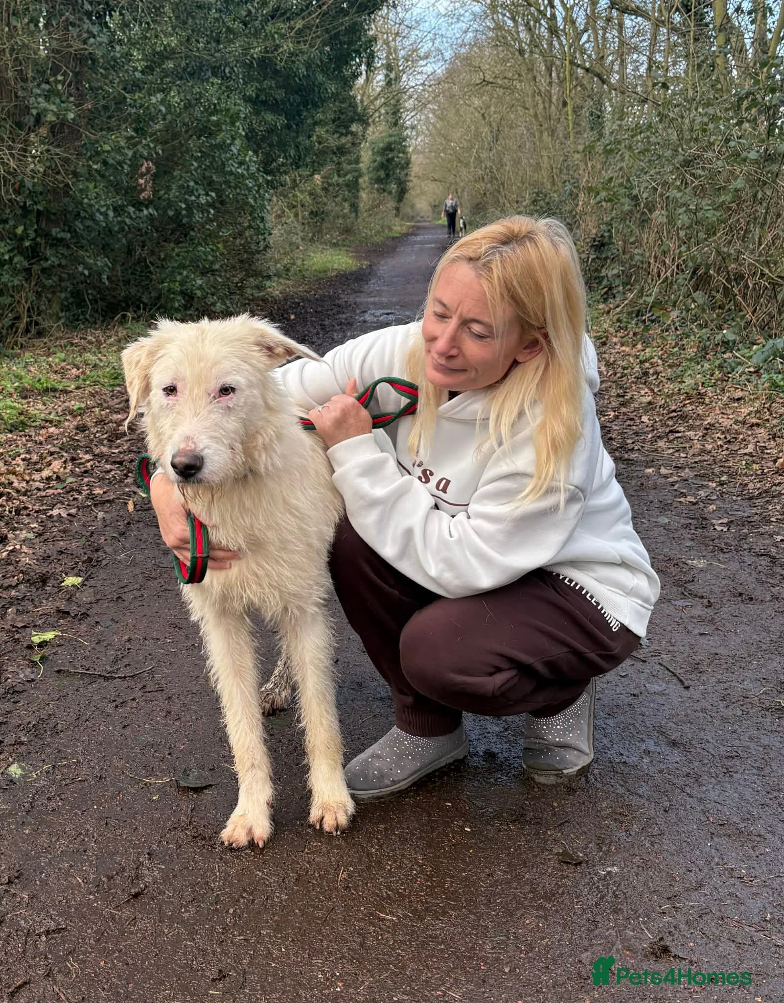 Peter - Norwich Norfolk photo 17