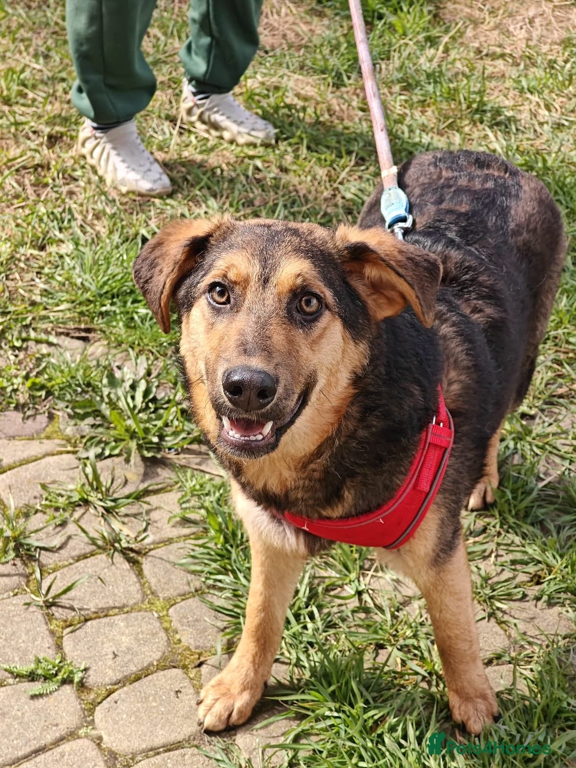 ๏ธ๐ถ yasia photo 14