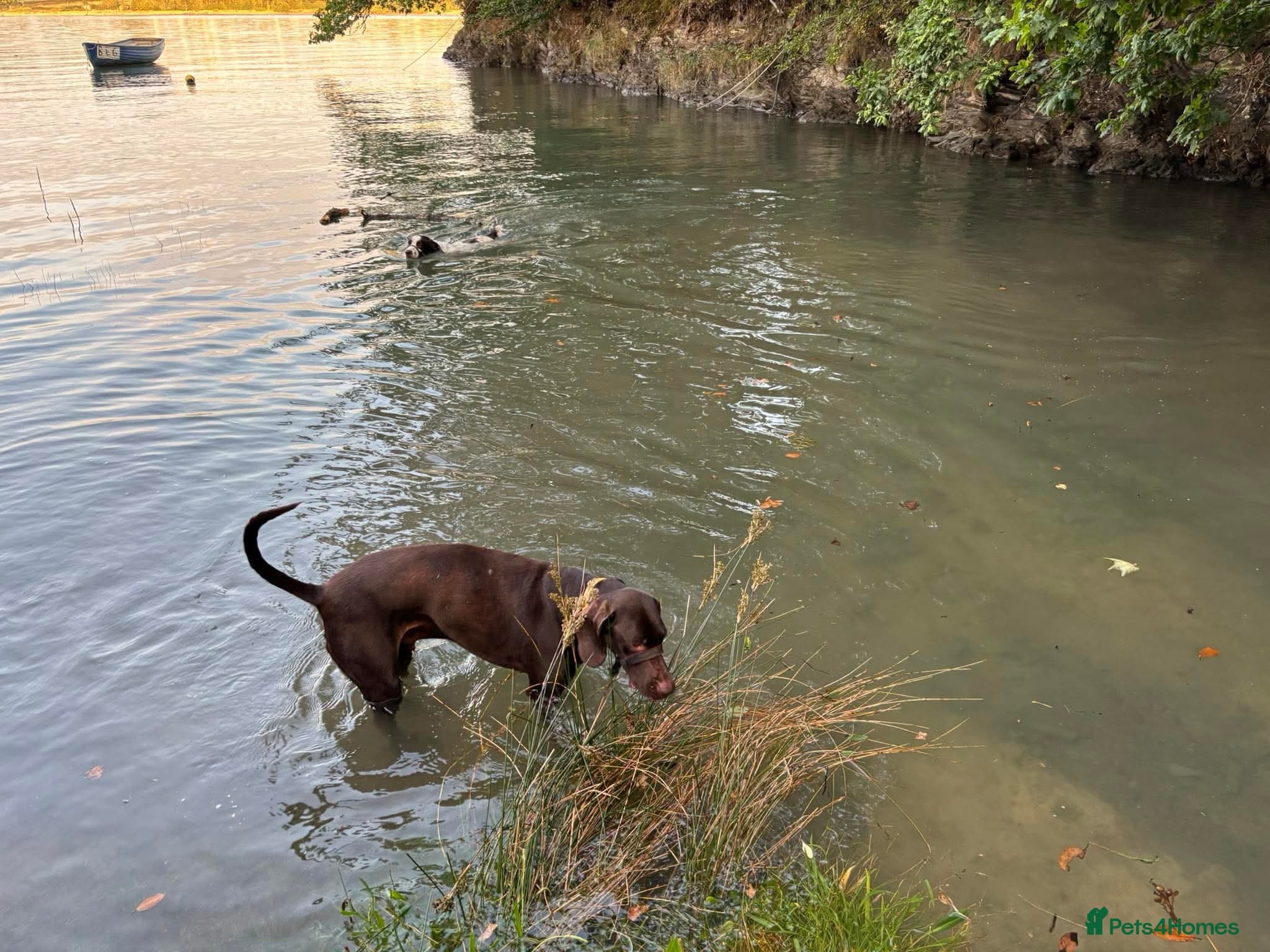 ️ meet wilson photo 14