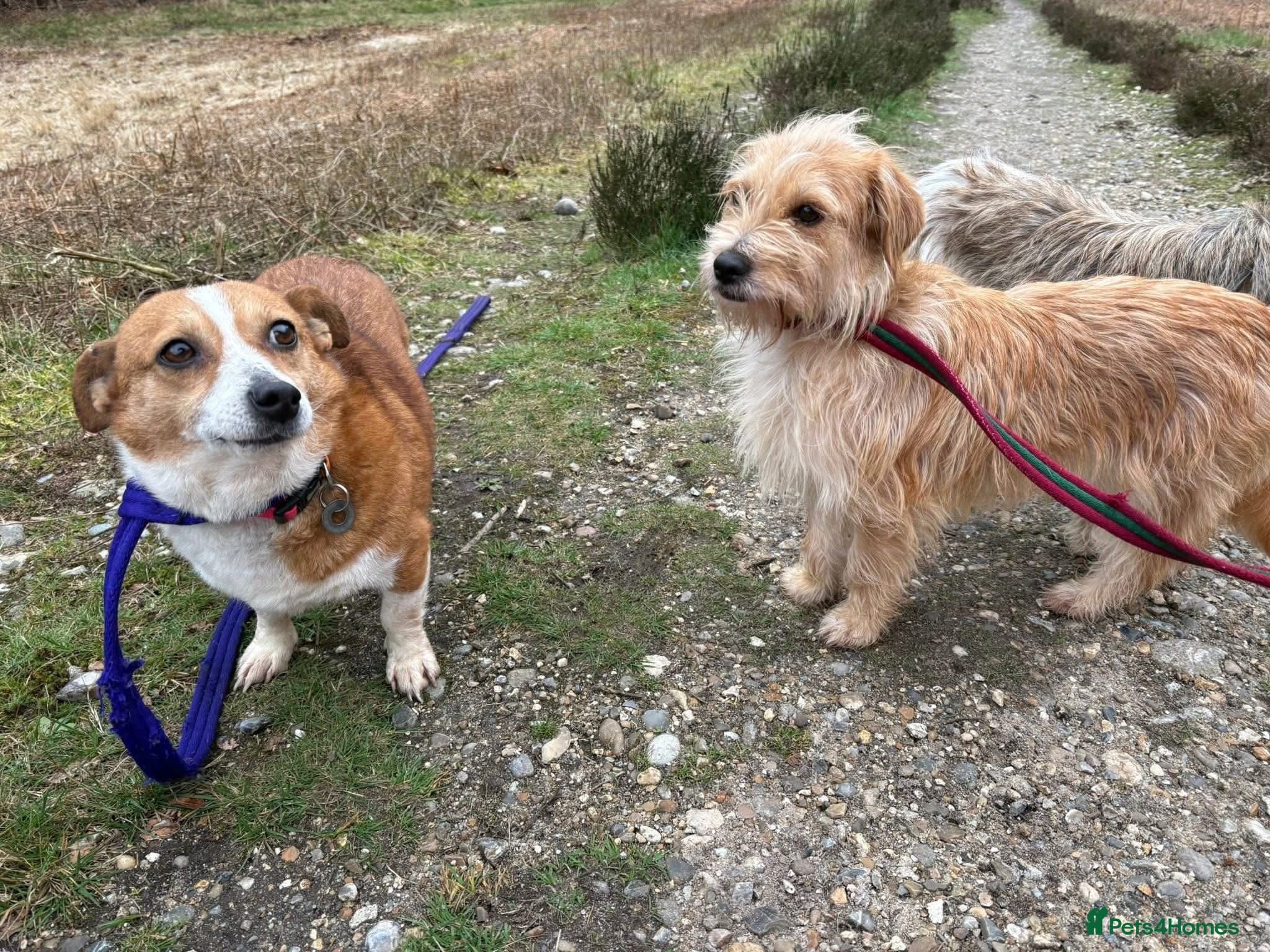 Yara - Norwich Norfolk photo 10