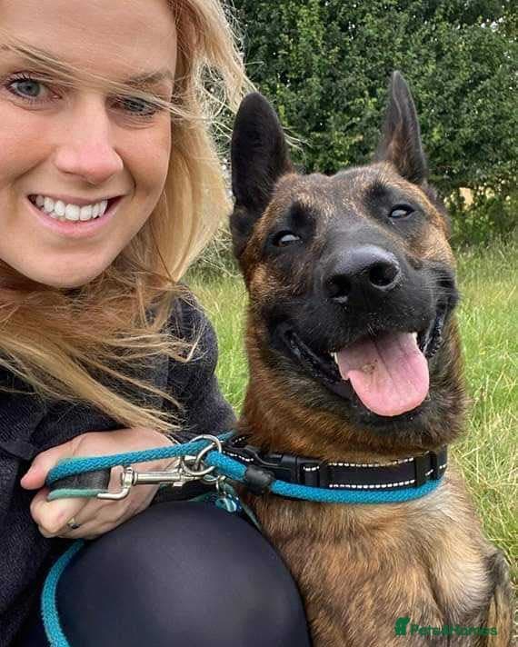 Beautiful buzz photo 7