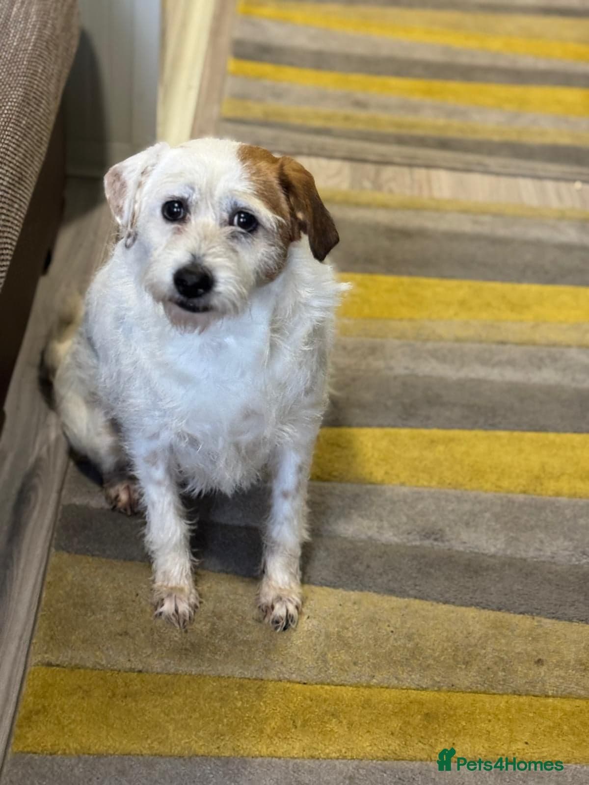 Cute girl Pepsi photo 6