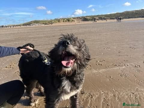 Meet Livi, currently residing in Cheshire photo 8