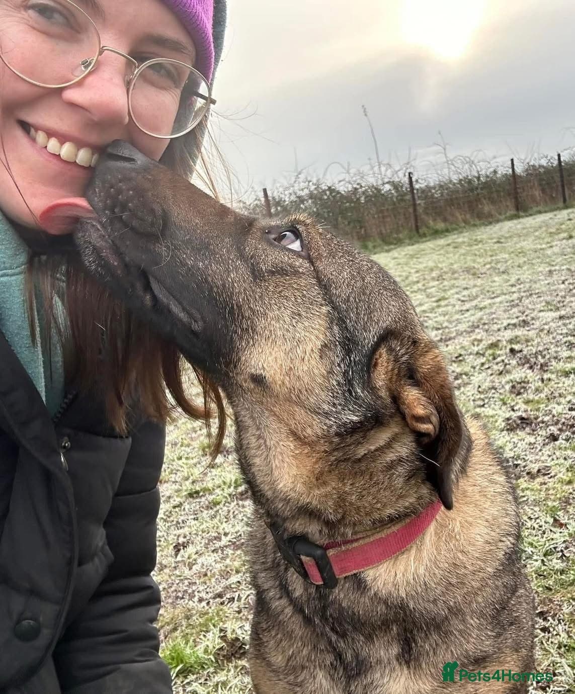 Luna ๐พ๐ photo 23