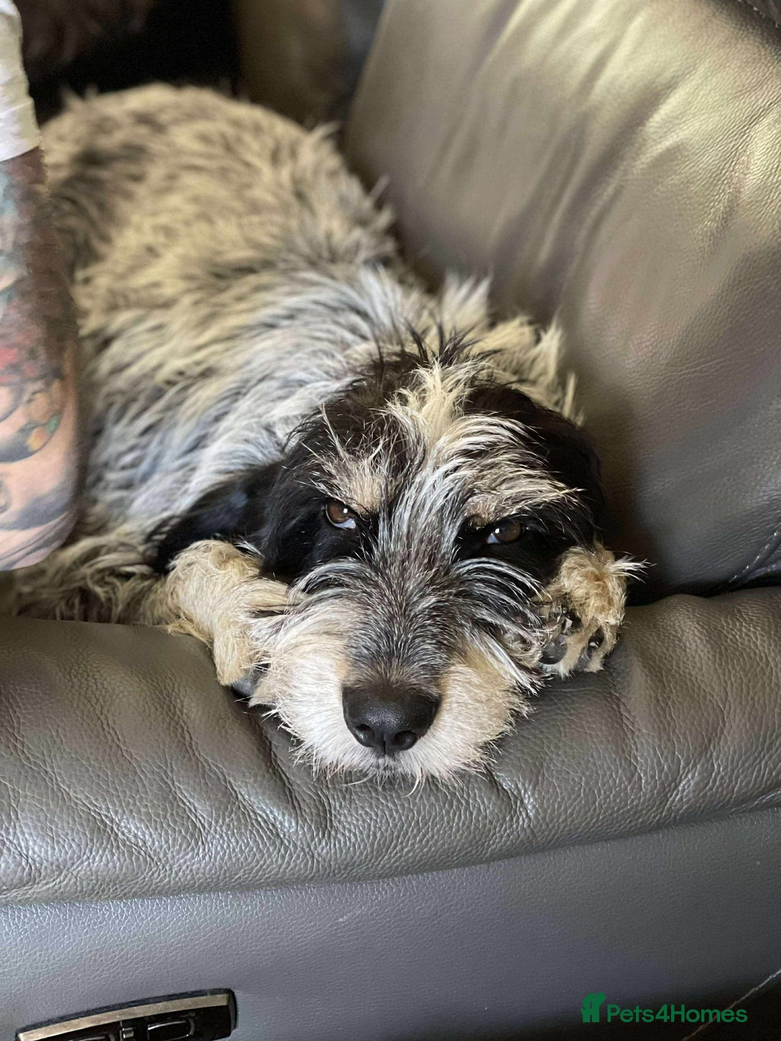 Lovely Ember - photo 5