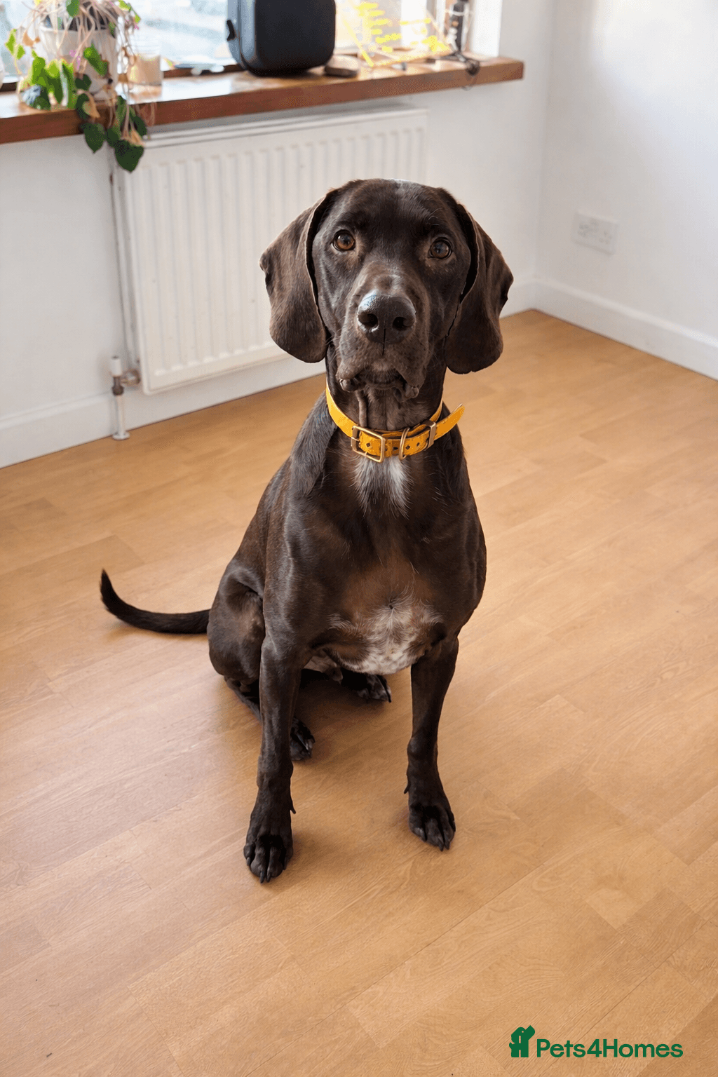 ️ meet wilson photo 19