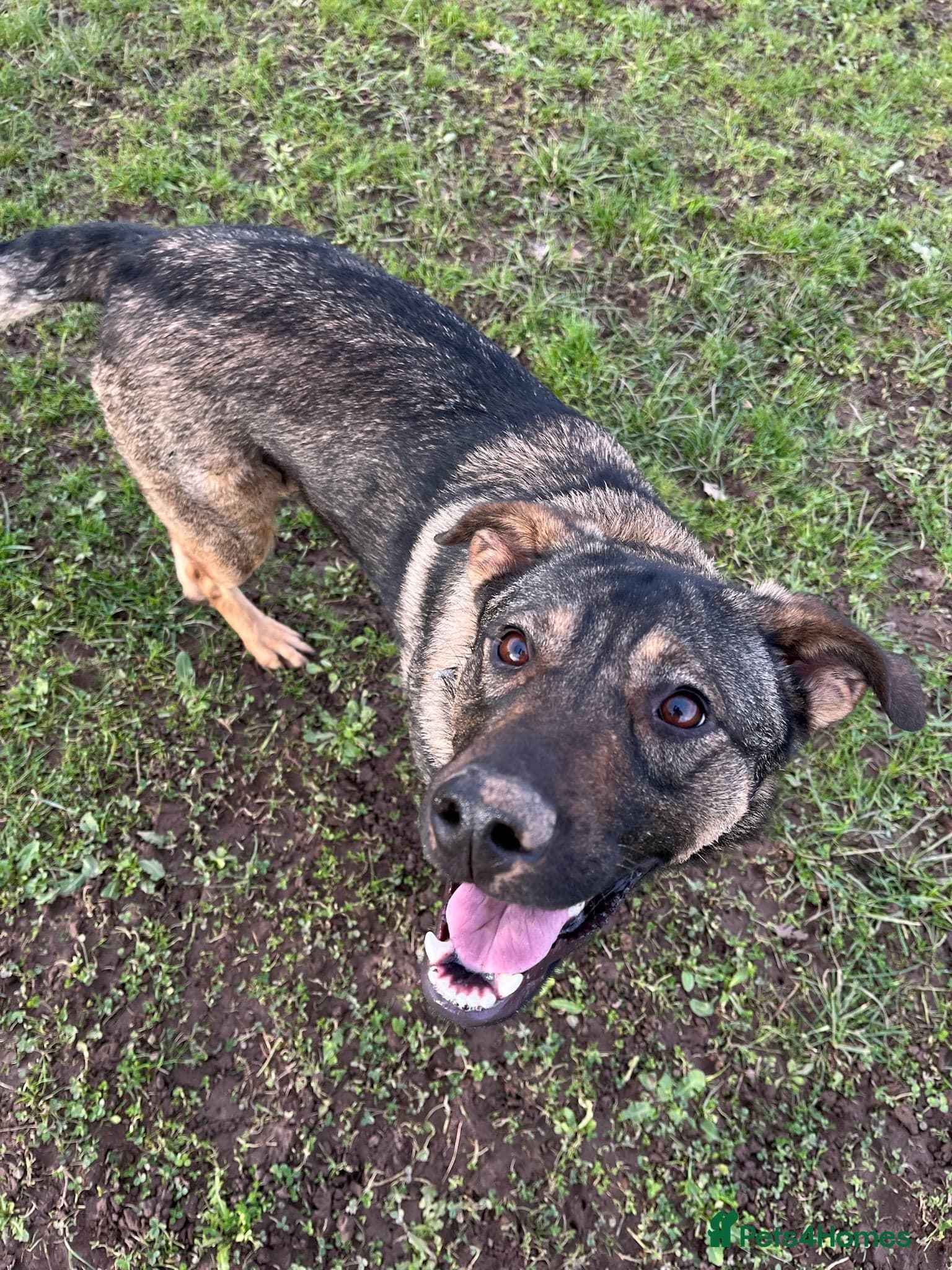 Luna ๐พ๐ photo 13