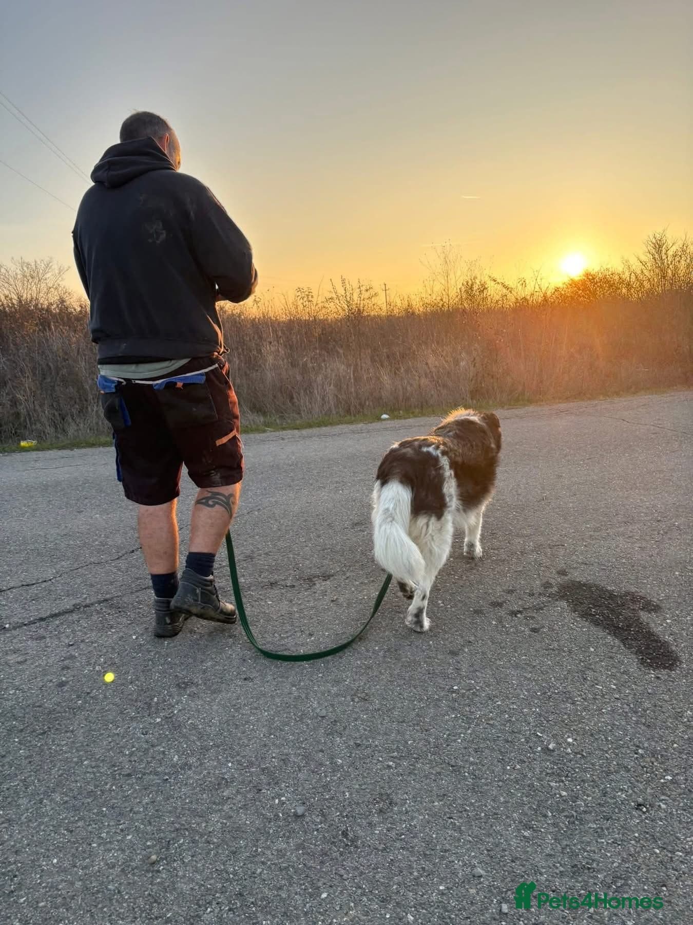 Freya - Norwich Norfolk photo 6