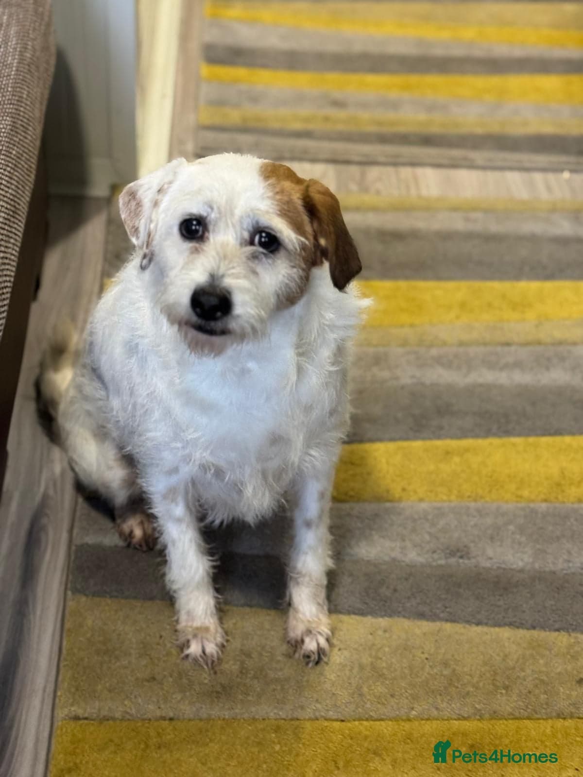 Cute girl Pepsi photo 8