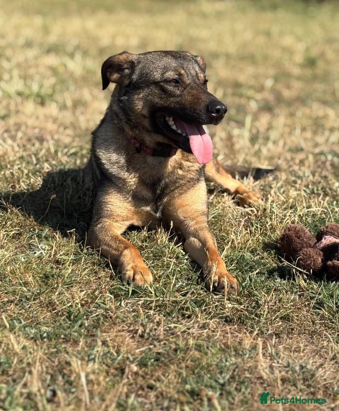 Luna ๐พ๐ photo 26