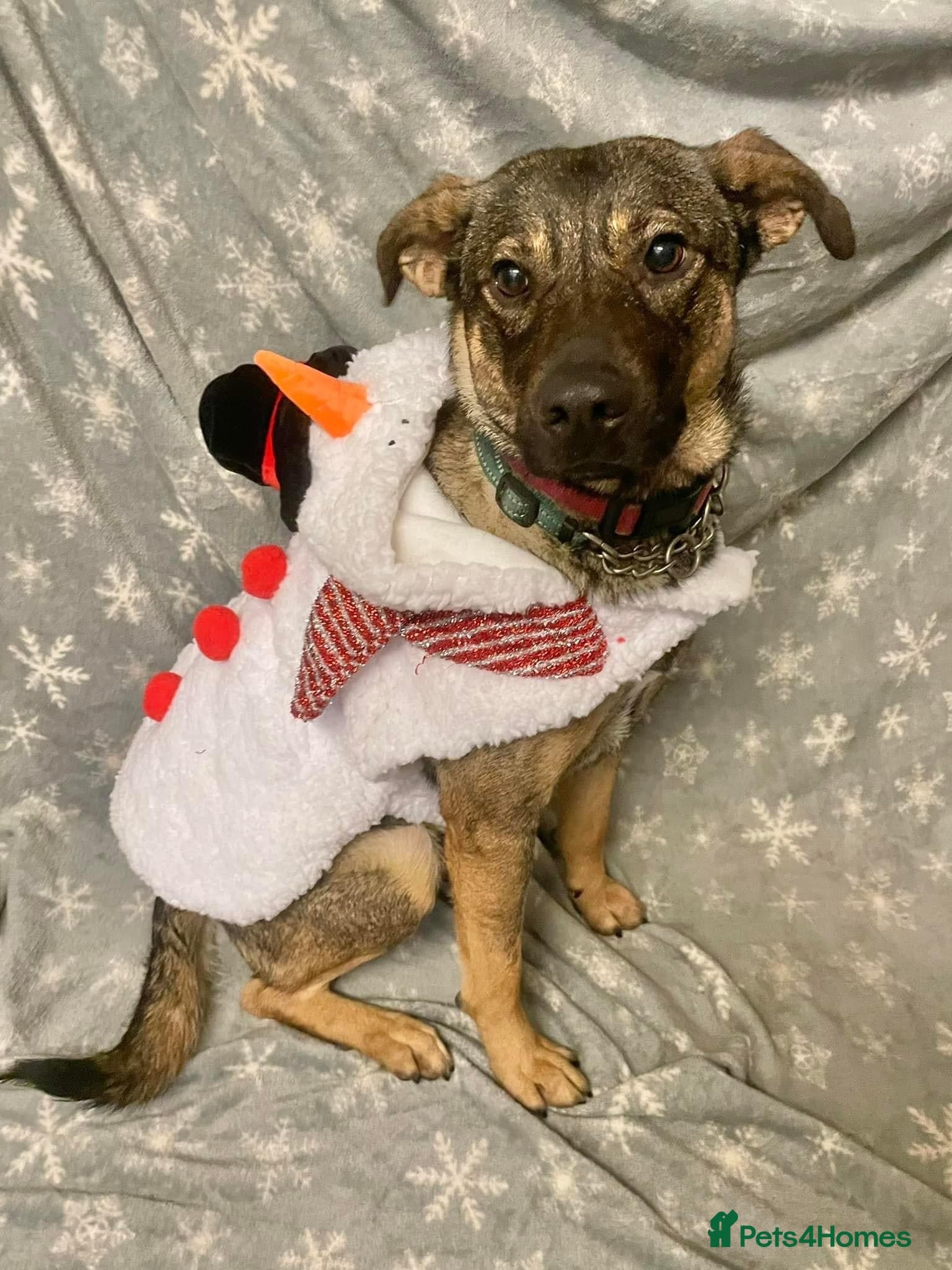 Luna ๐พ๐ photo 7