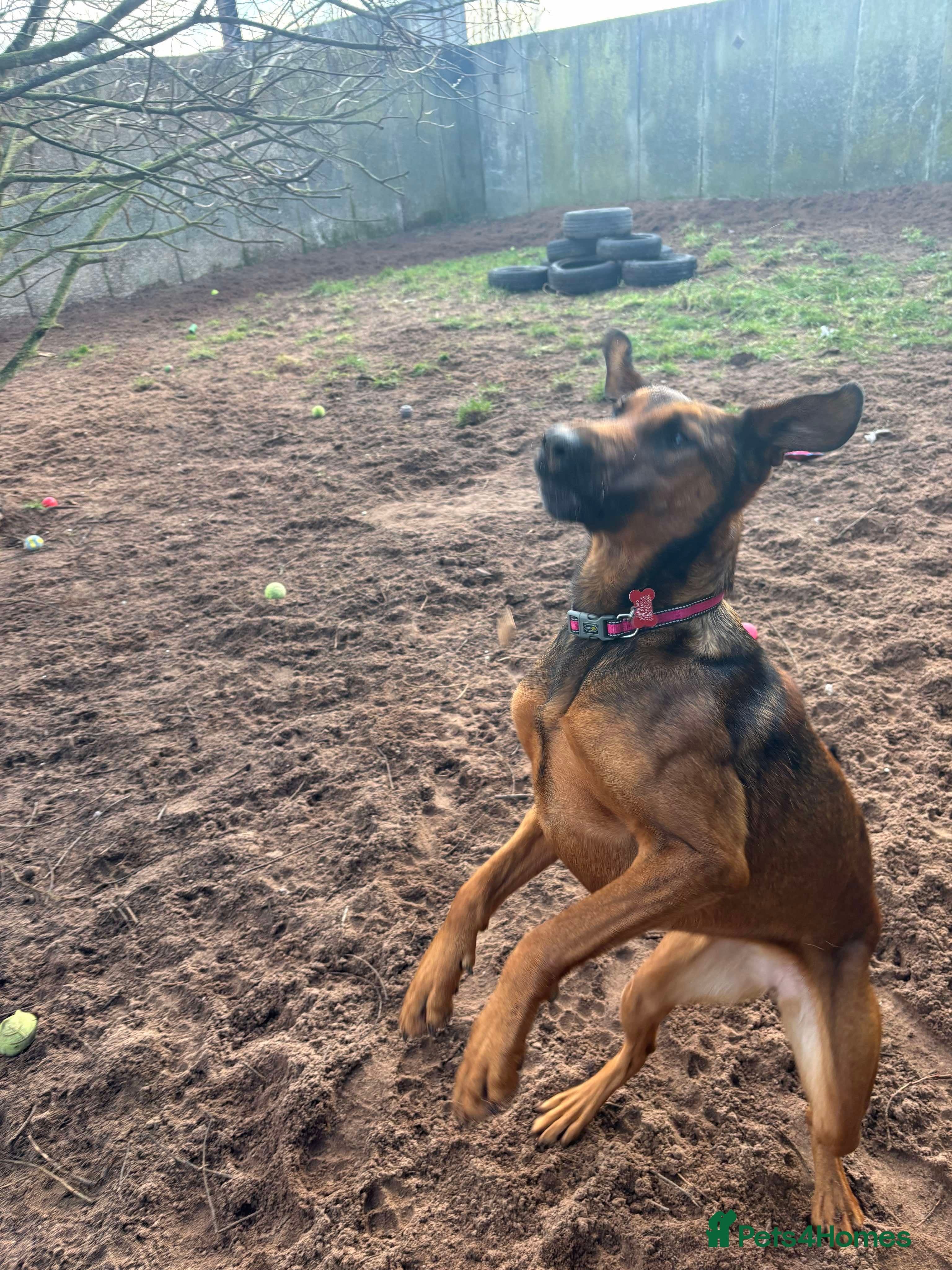 Meet Carrie,currently residing in Cheshire photo 3