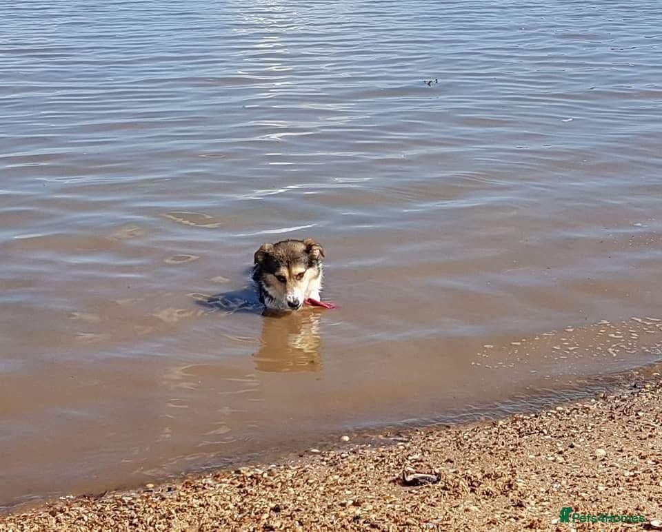 Tara - Norwich Norfolk photo 21