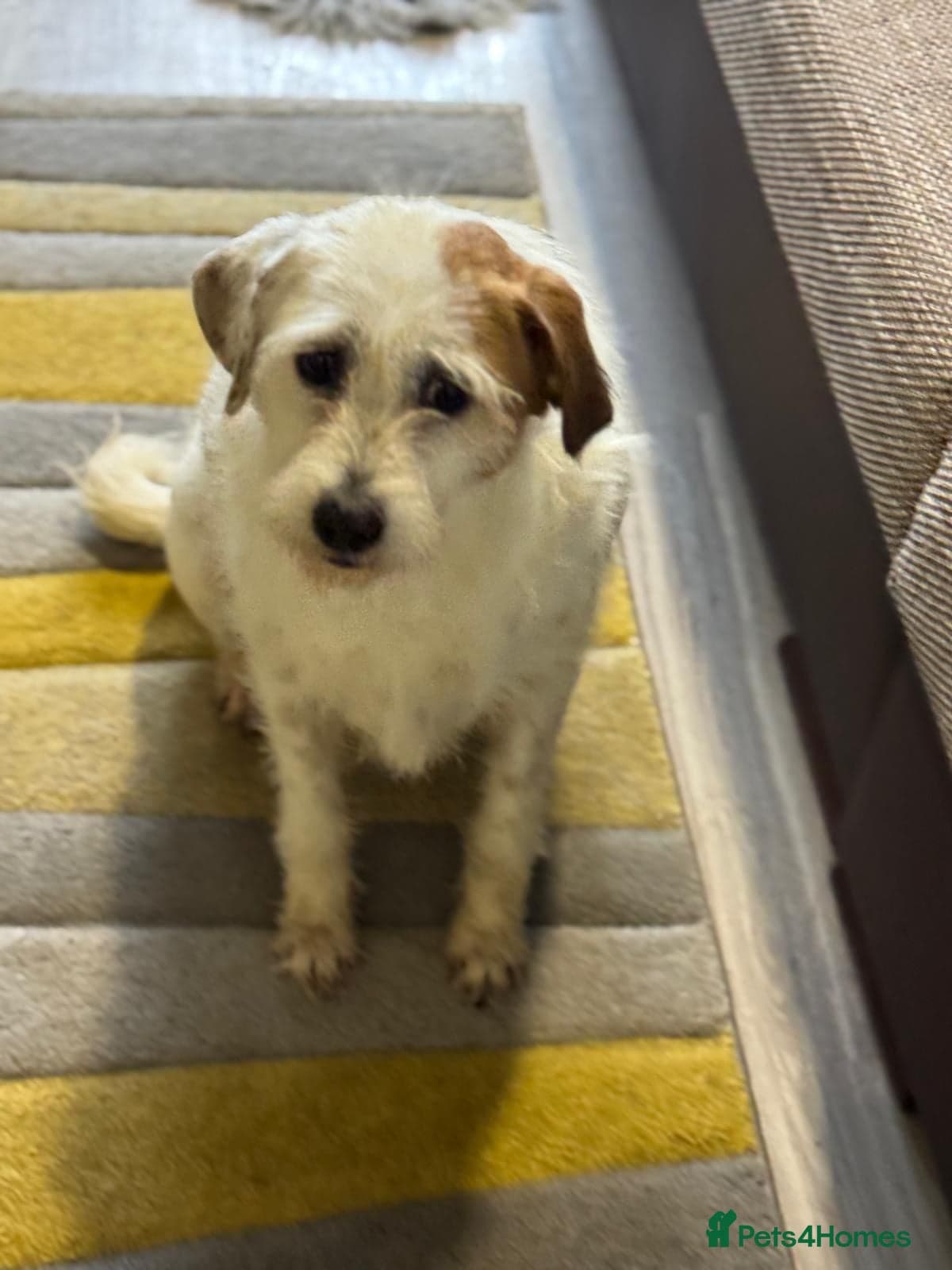 Cute girl Pepsi photo 12