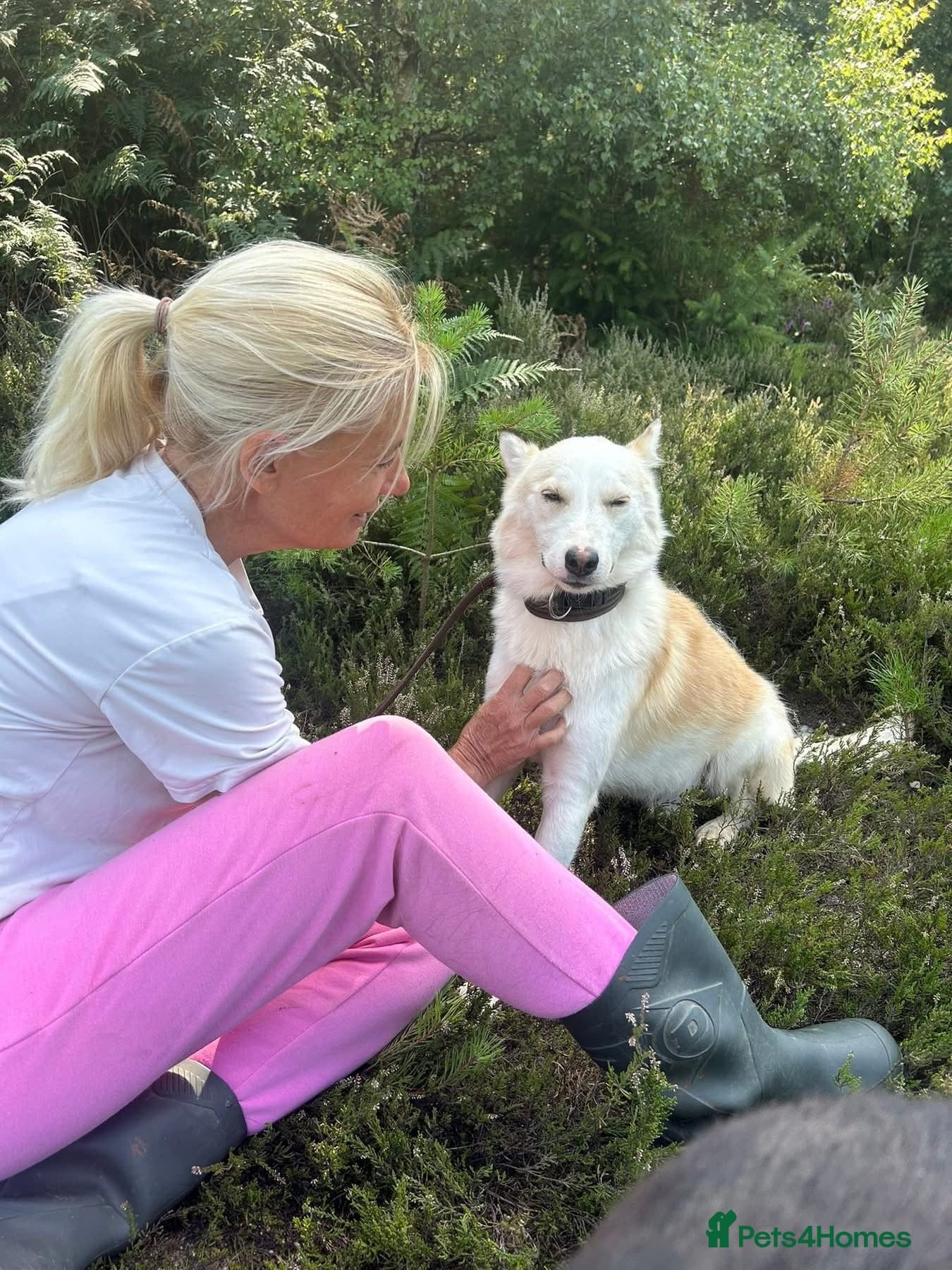 Song - Norwich Norfolk photo 13