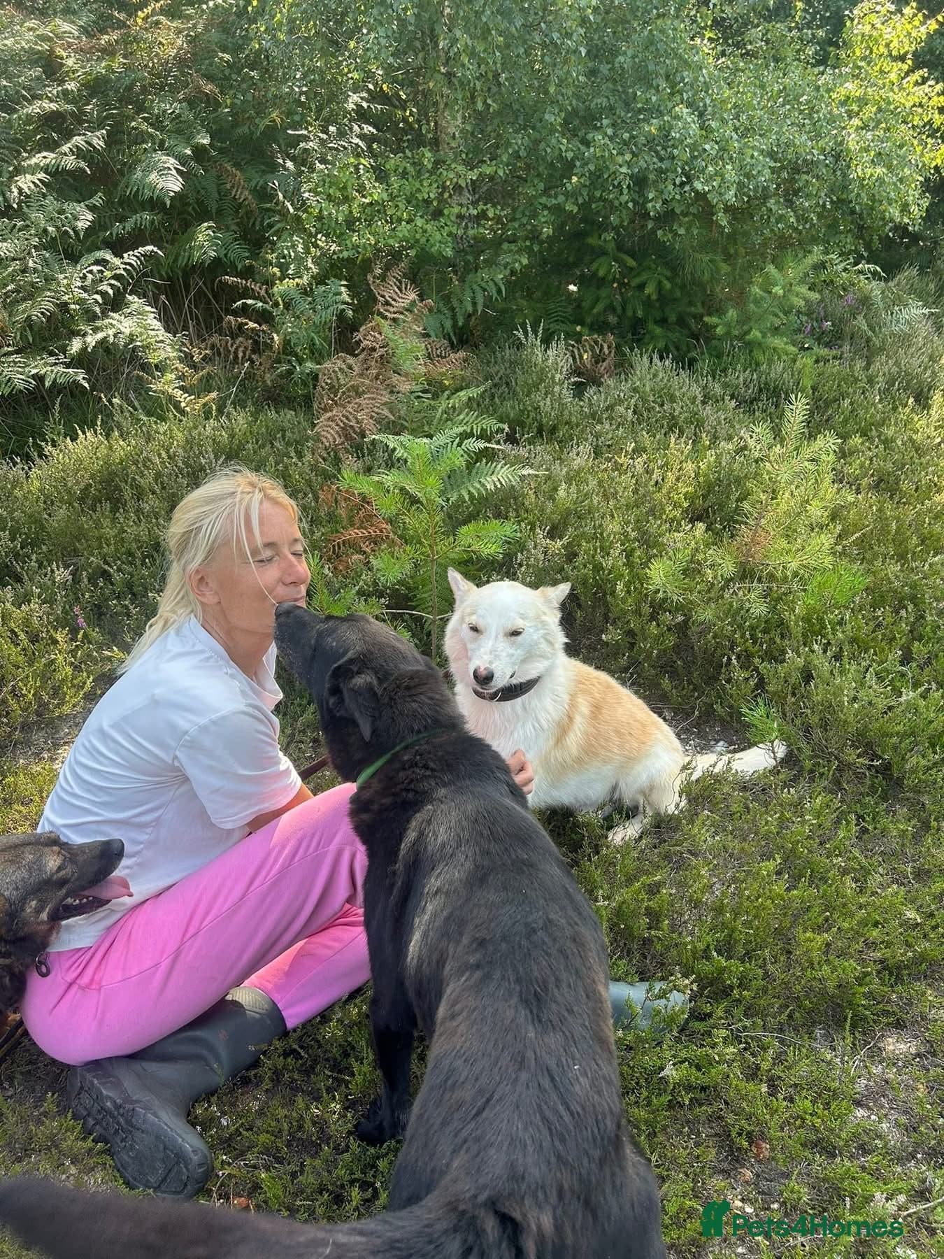 Song - Norwich Norfolk photo 21