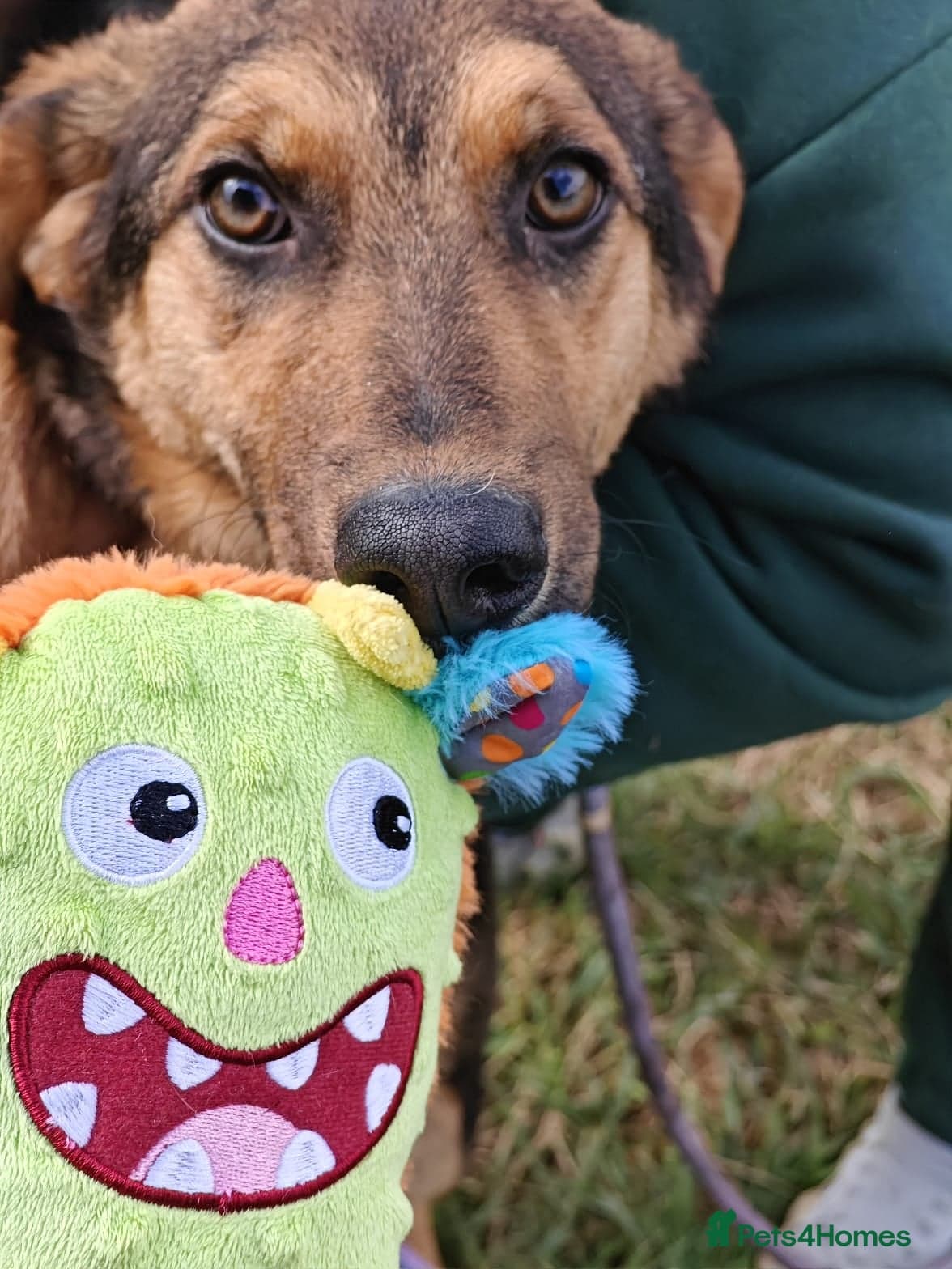 ๏ธ๐ถ yasia photo 9