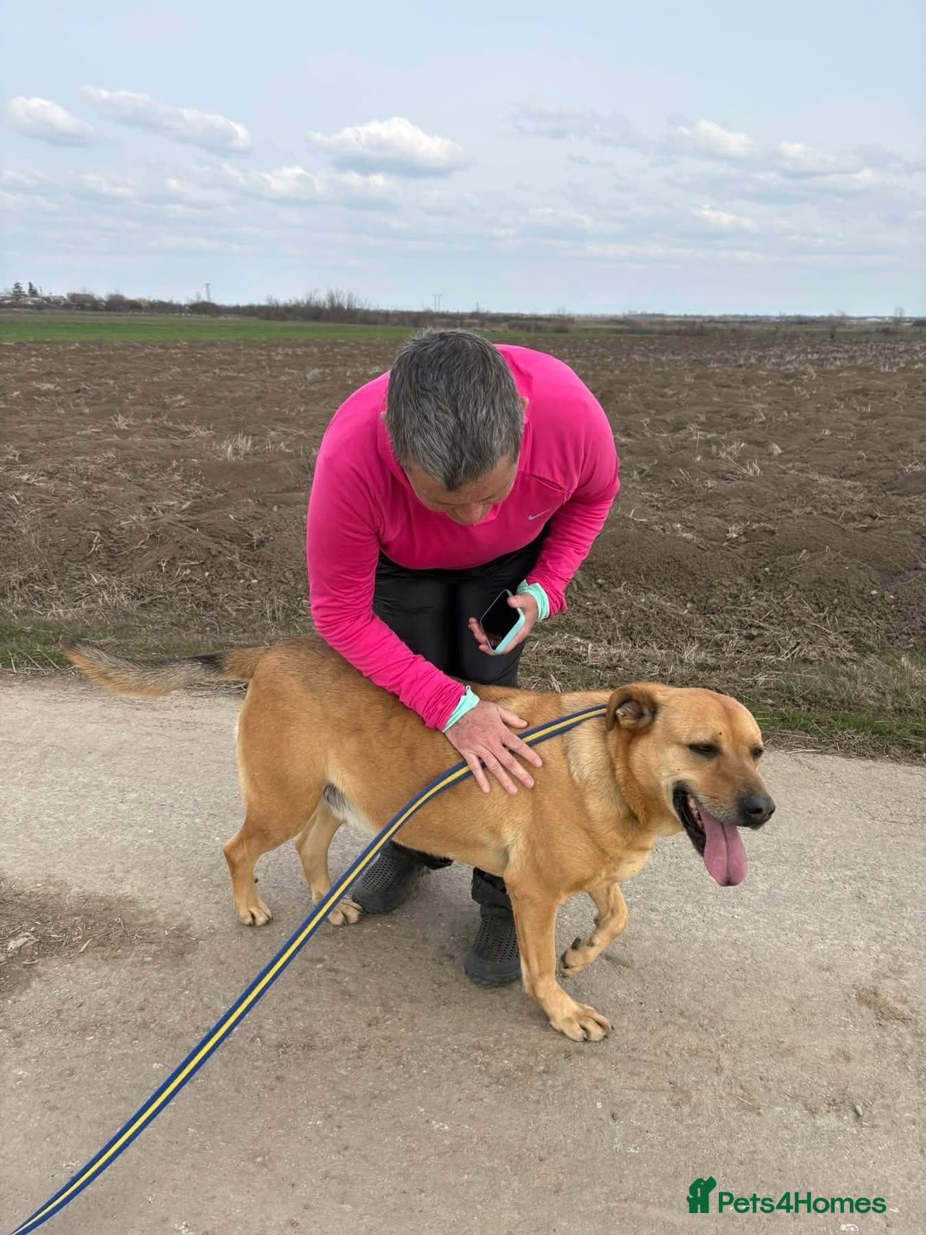 Thor - Dereham Norfolk — Mixed Breed