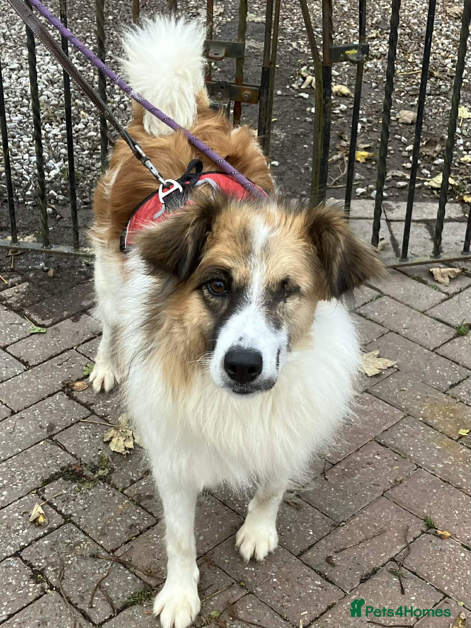 Jessie ❤️ photo 6