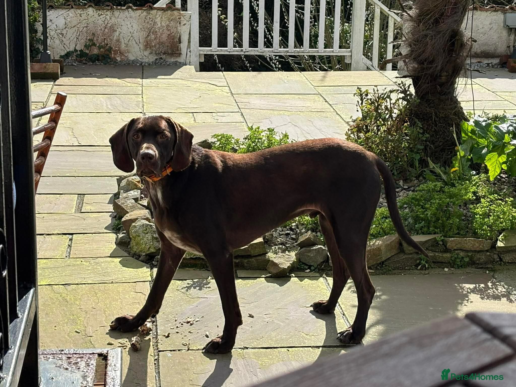 ️ meet wilson photo 4