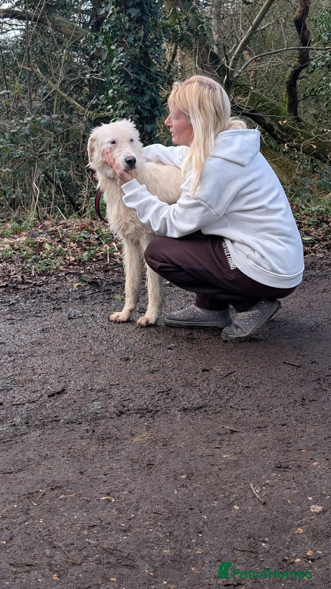 Peter - Norwich Norfolk photo 10