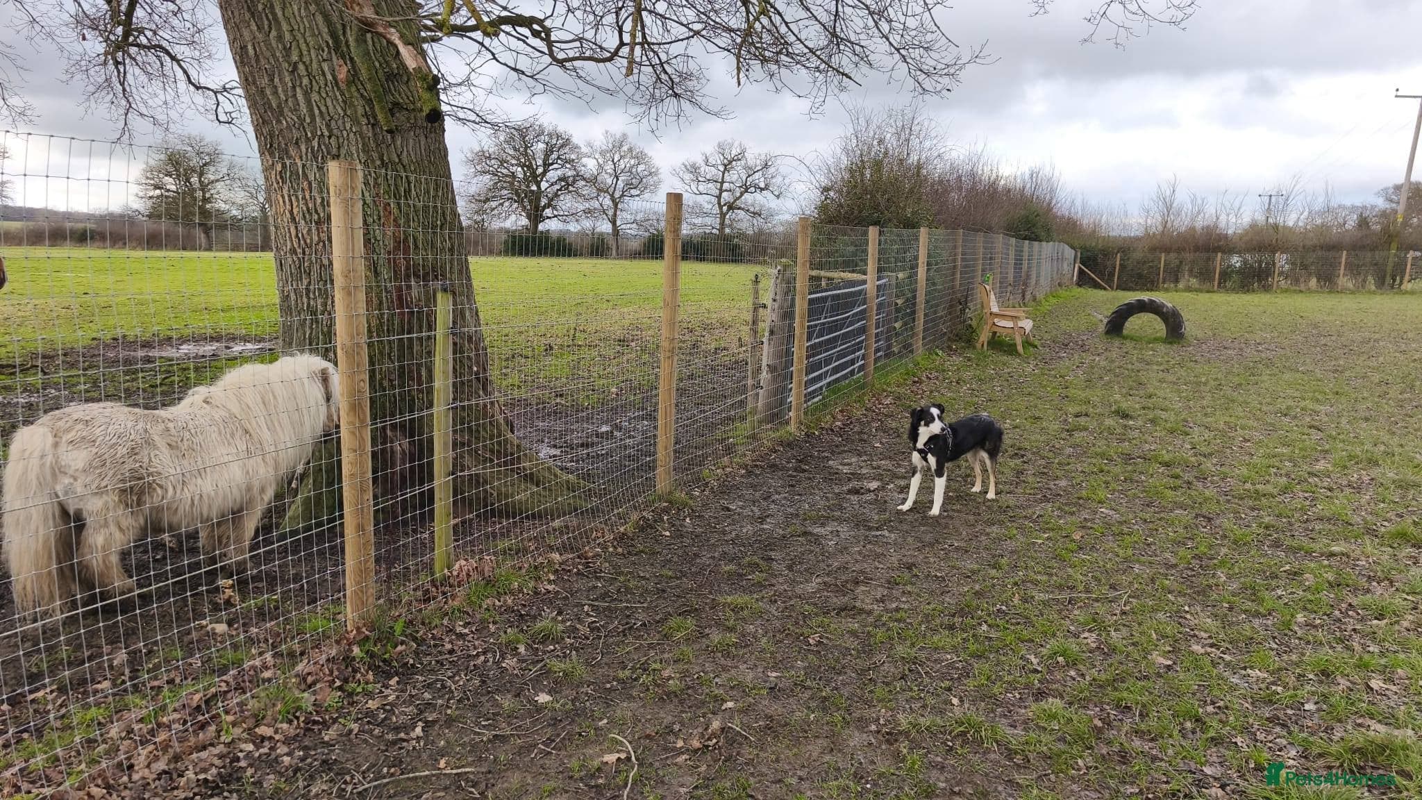 MAX๐ Let Down But Still Loving photo 9