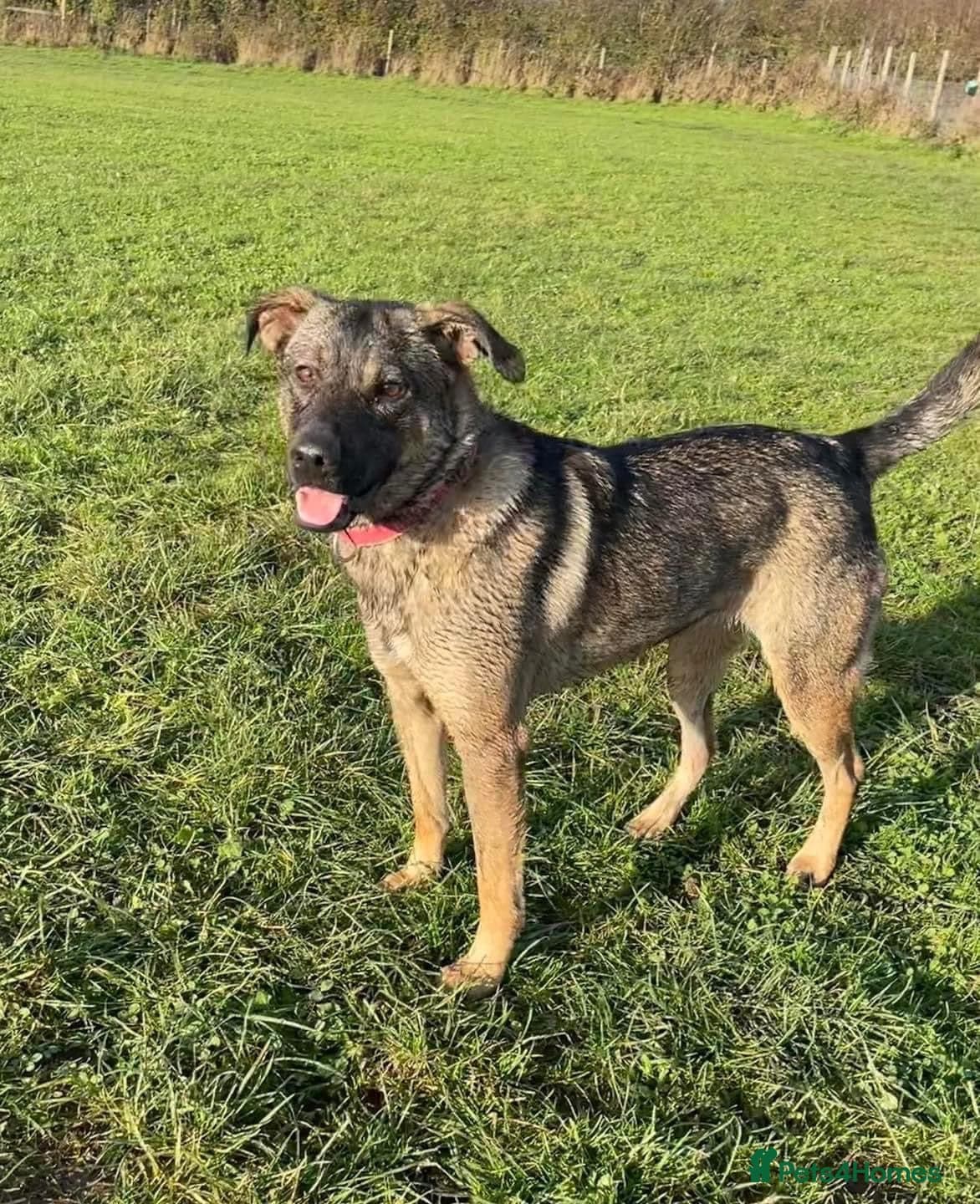 Luna ๐พ๐ photo 2