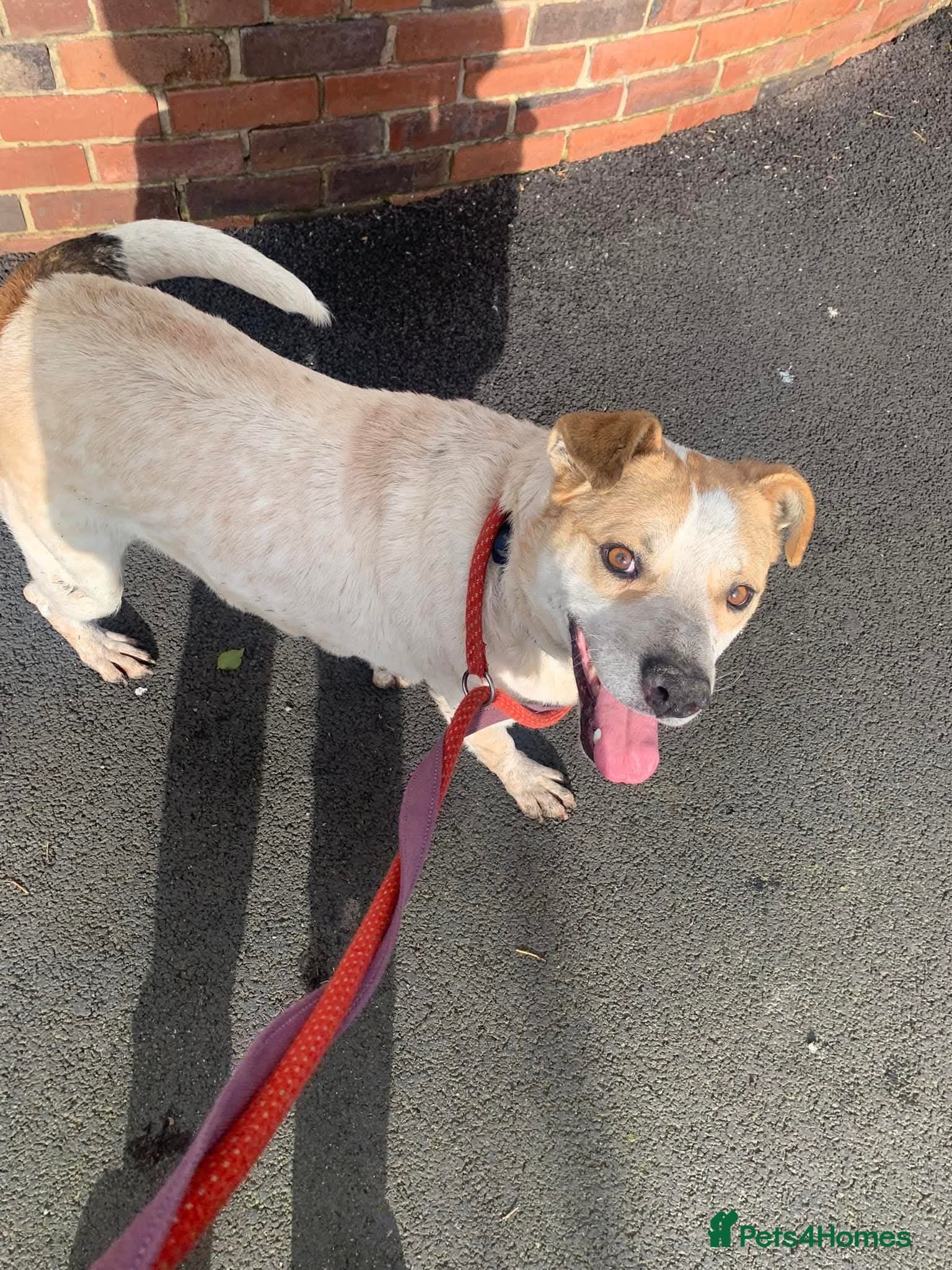 Meet Barry,currently residing in Cheshire photo 8