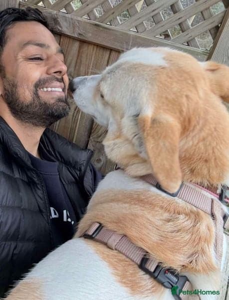 Egyptian girl Cleo photo 9