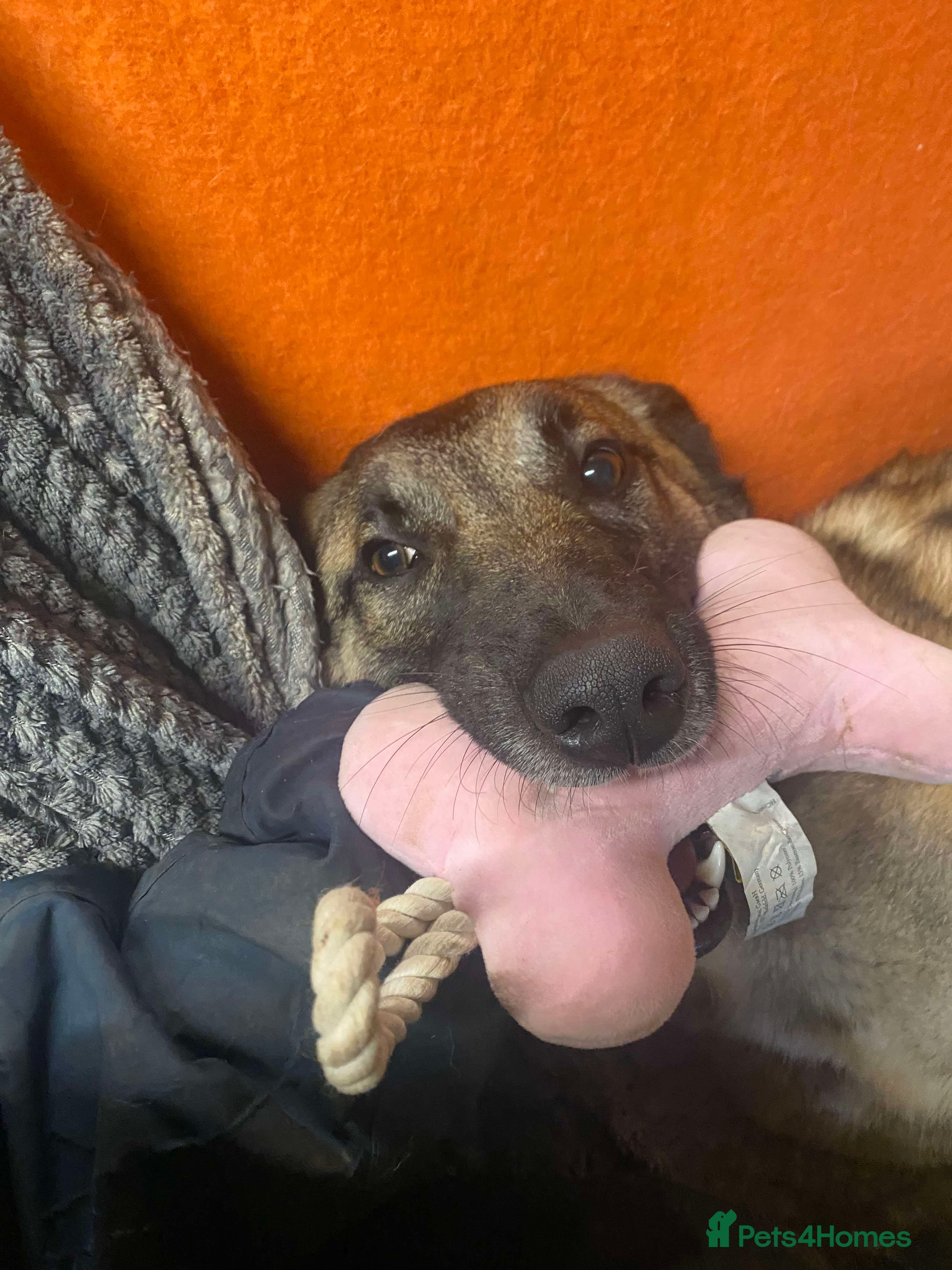 Meet Vera, currently residing in Cheshire photo 12