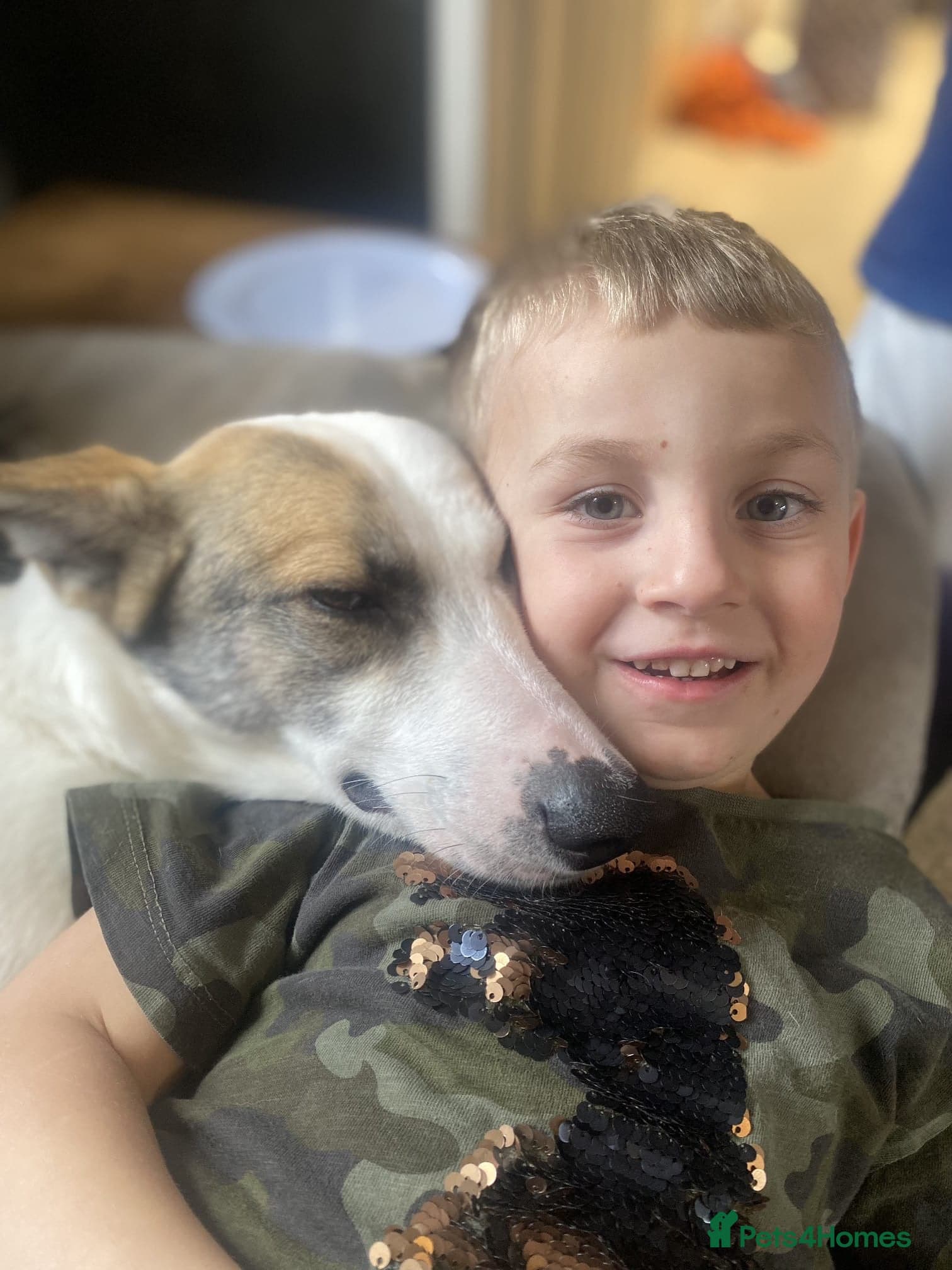 ️🐶 bela photo 12