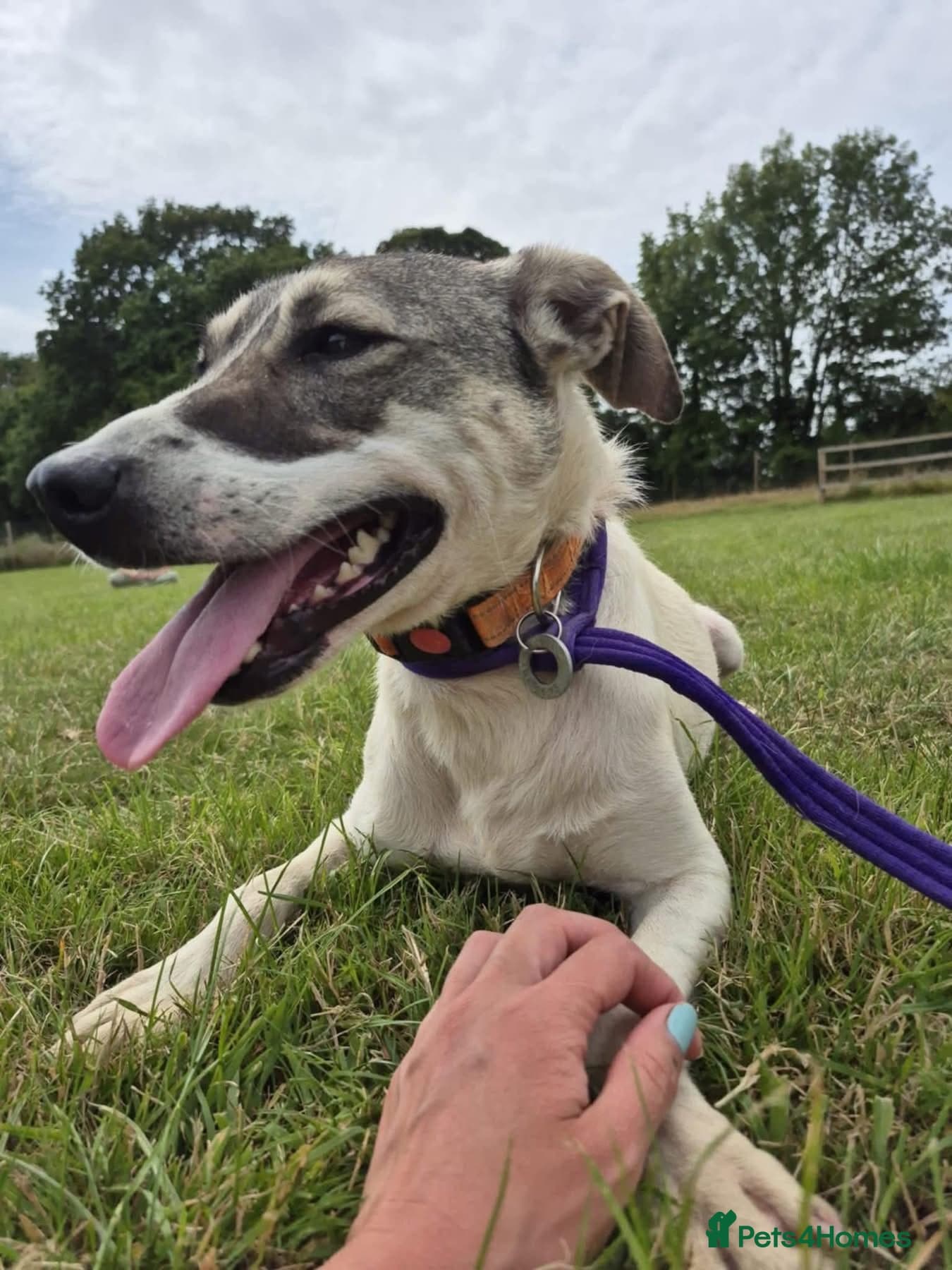 Lotty (2) Norwich Norfolk photo 12