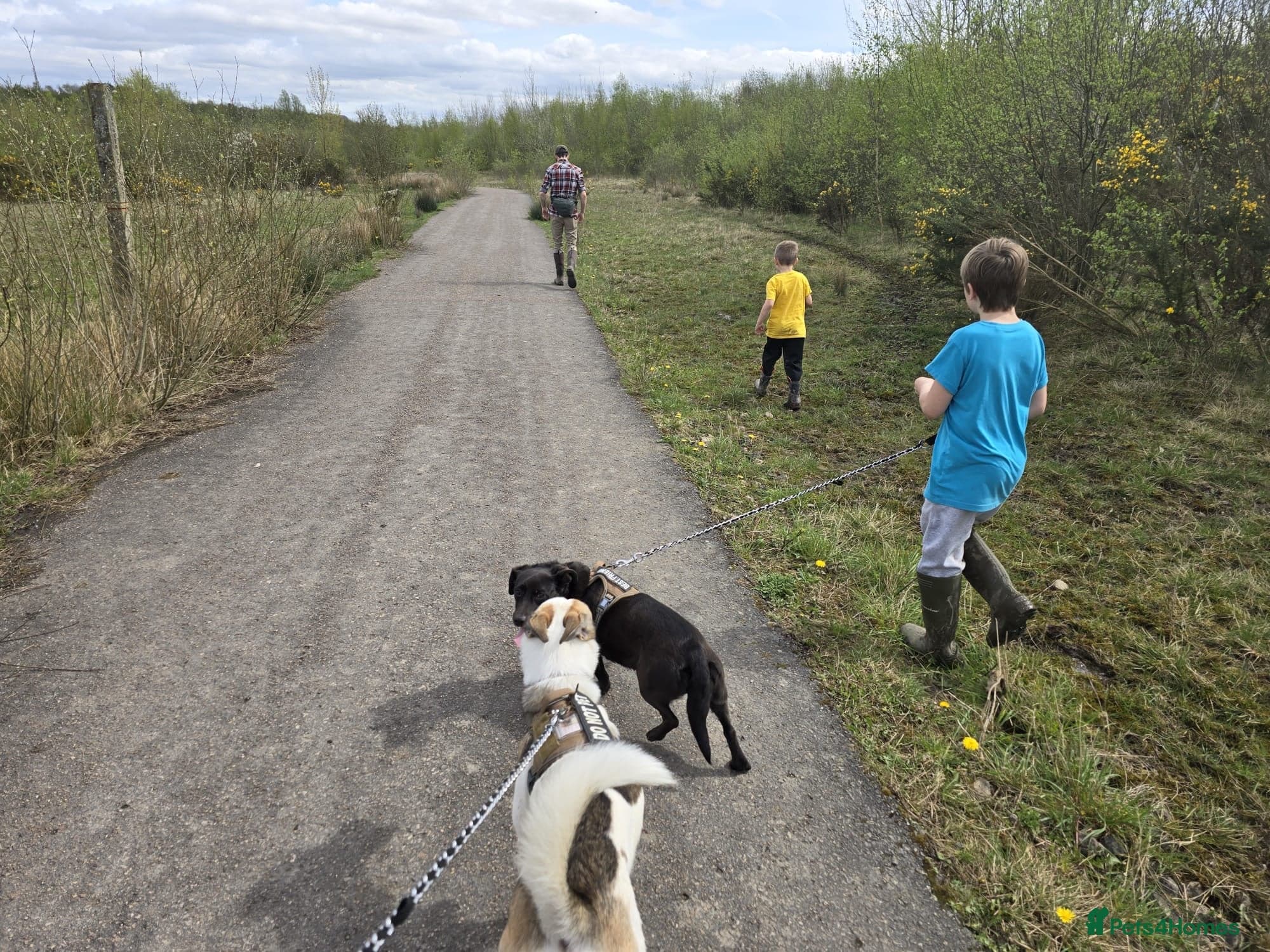 ️🐶 bela photo 15