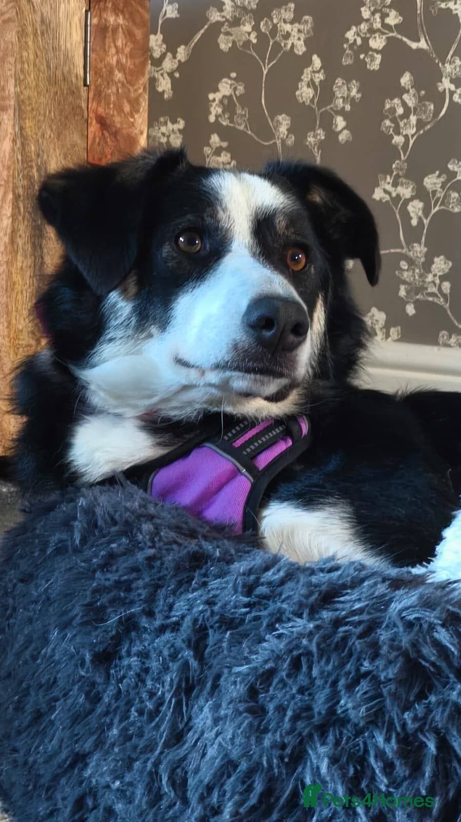 MAX๐ Let Down But Still Loving photo 12