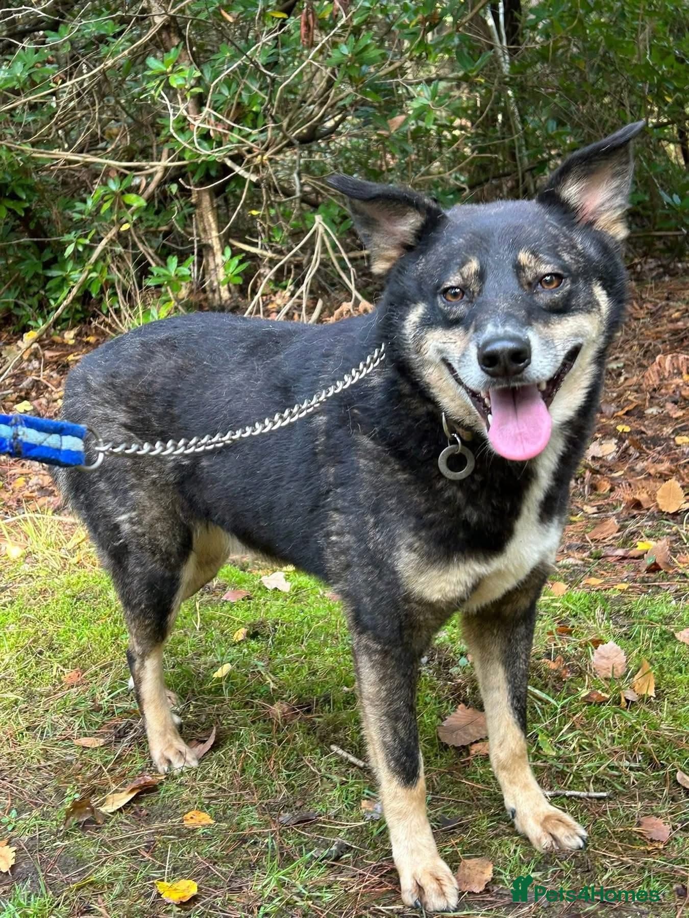 Ben - Norwich Norfolk photo 10