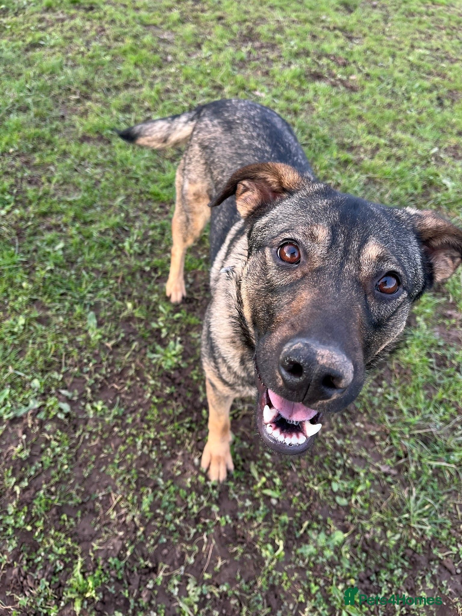 Luna ๐พ๐ photo 16