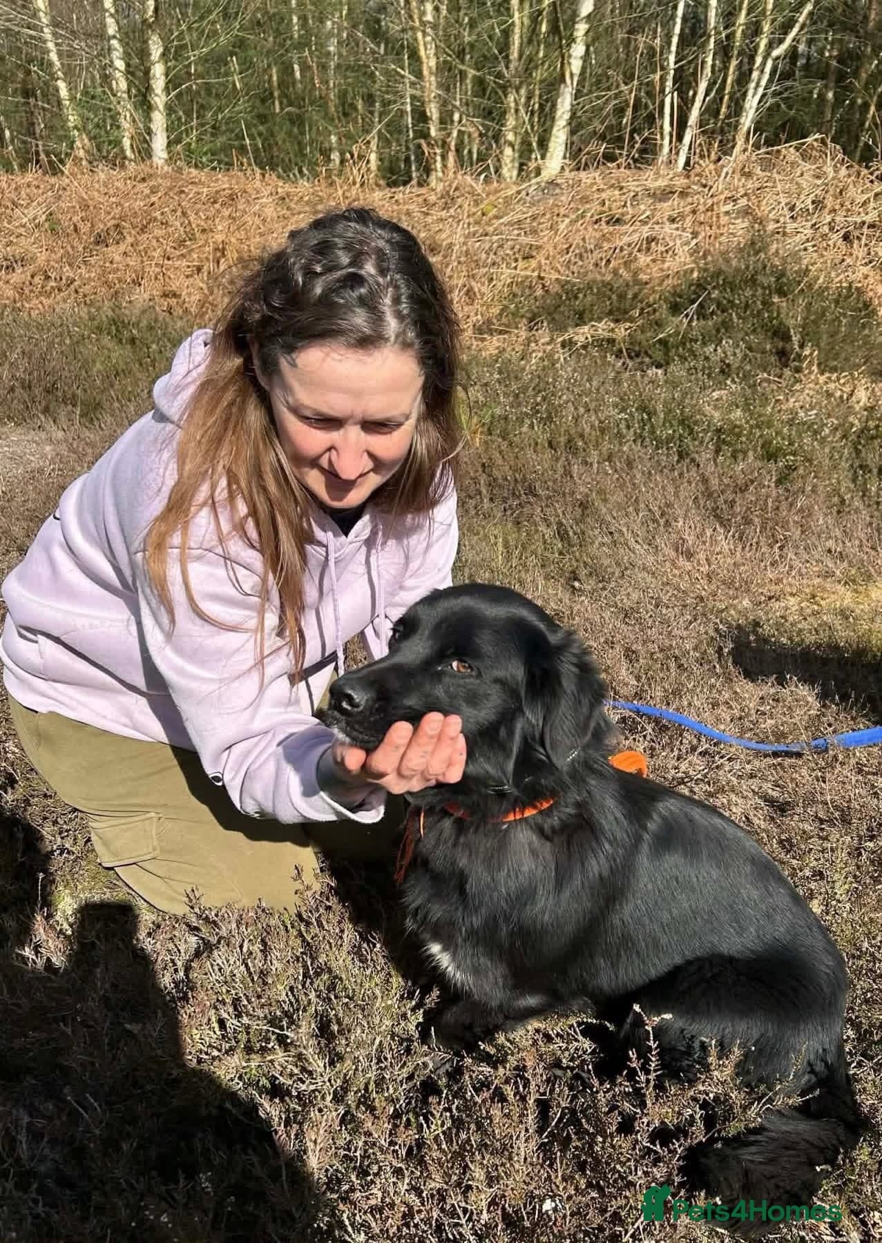 Dante - Norwich Norfolk photo 11