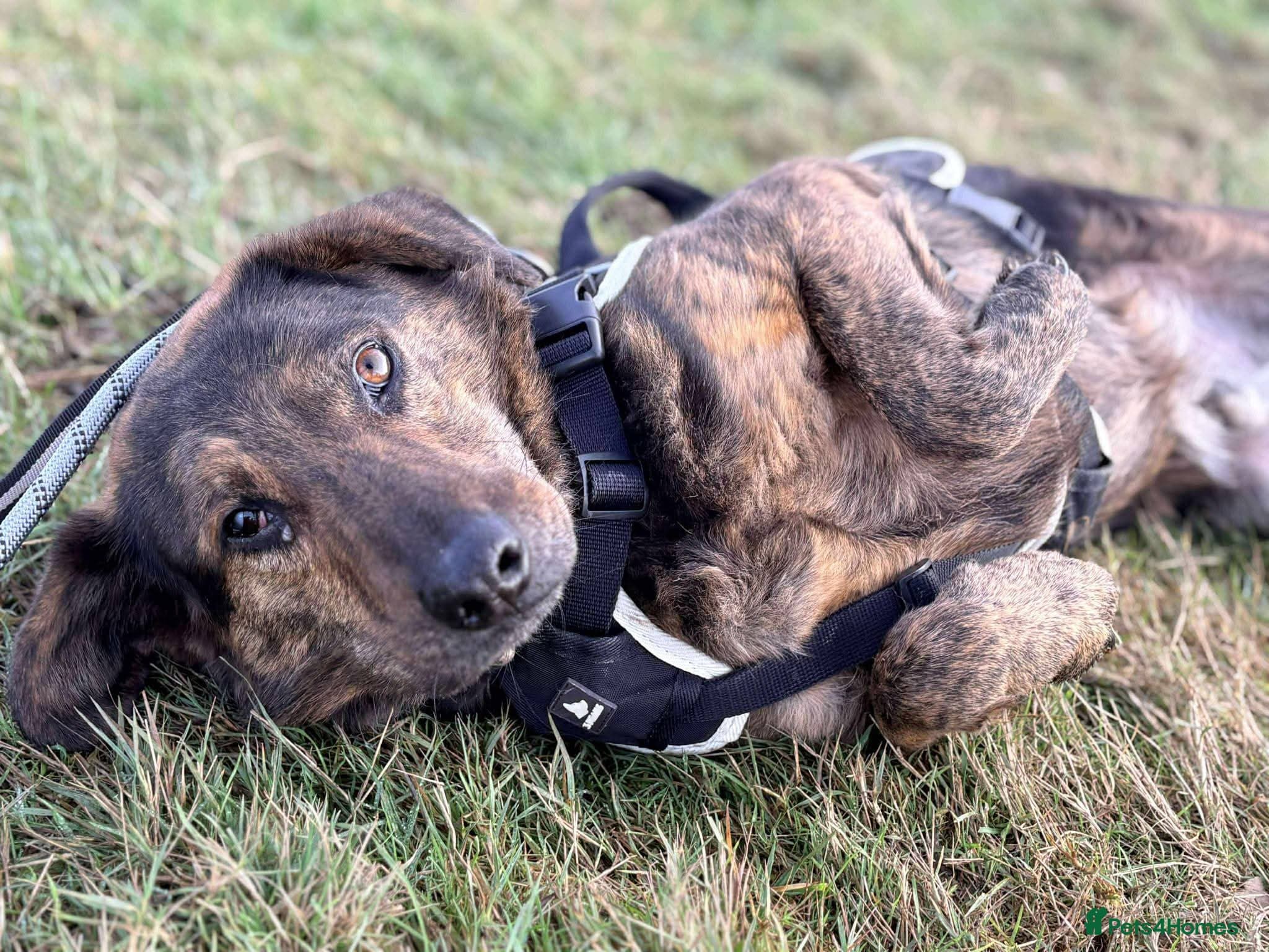 Meet Jess, currently residing in Essex photo 12