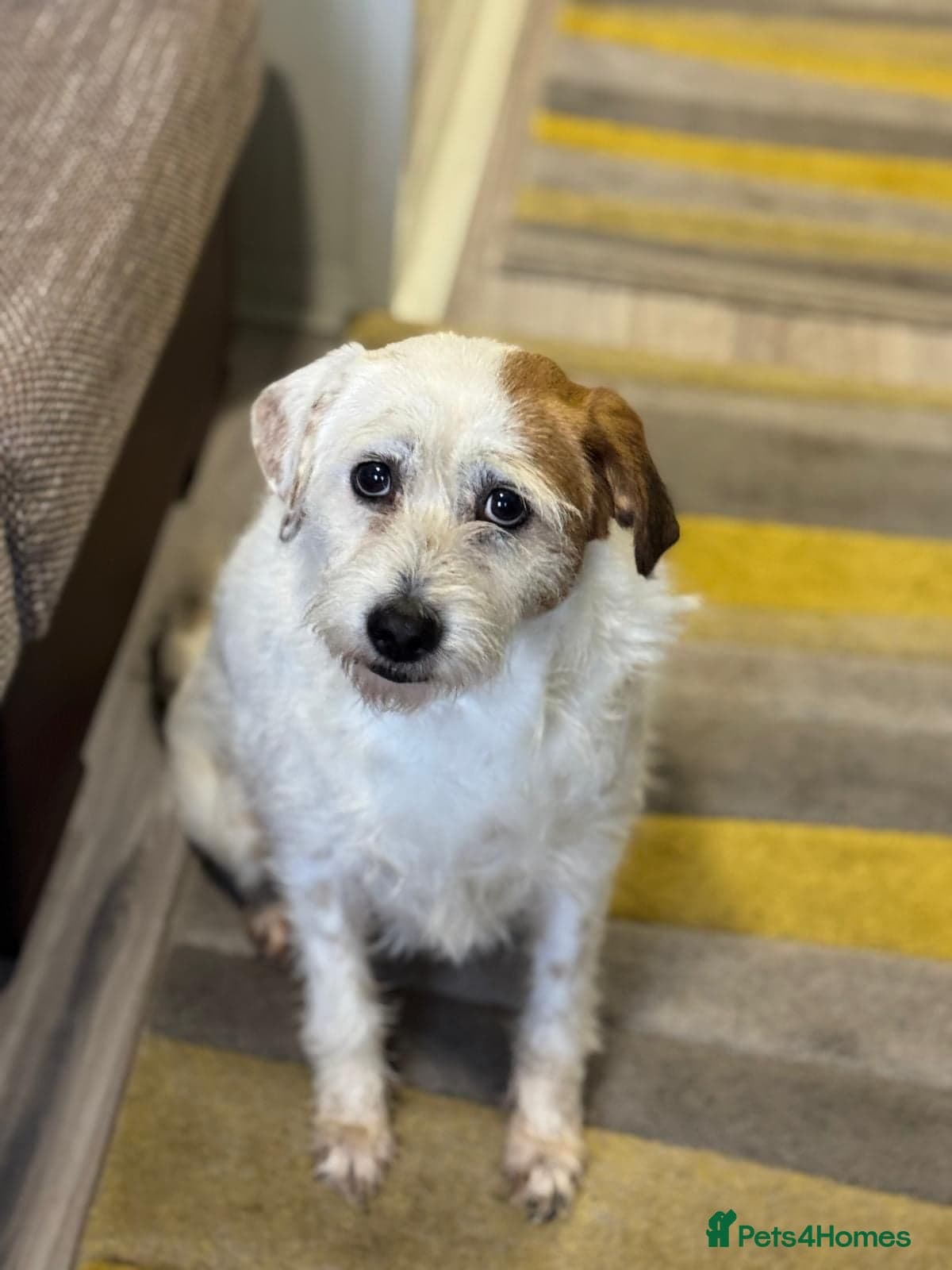 Cute girl Pepsi photo 16