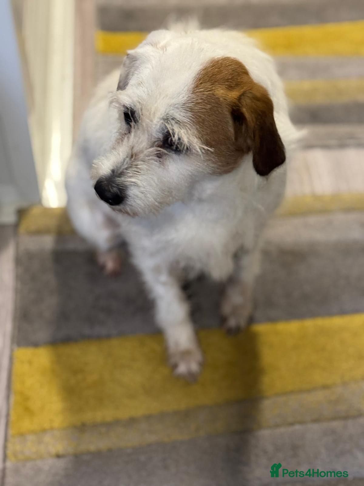 Cute girl Pepsi photo 9