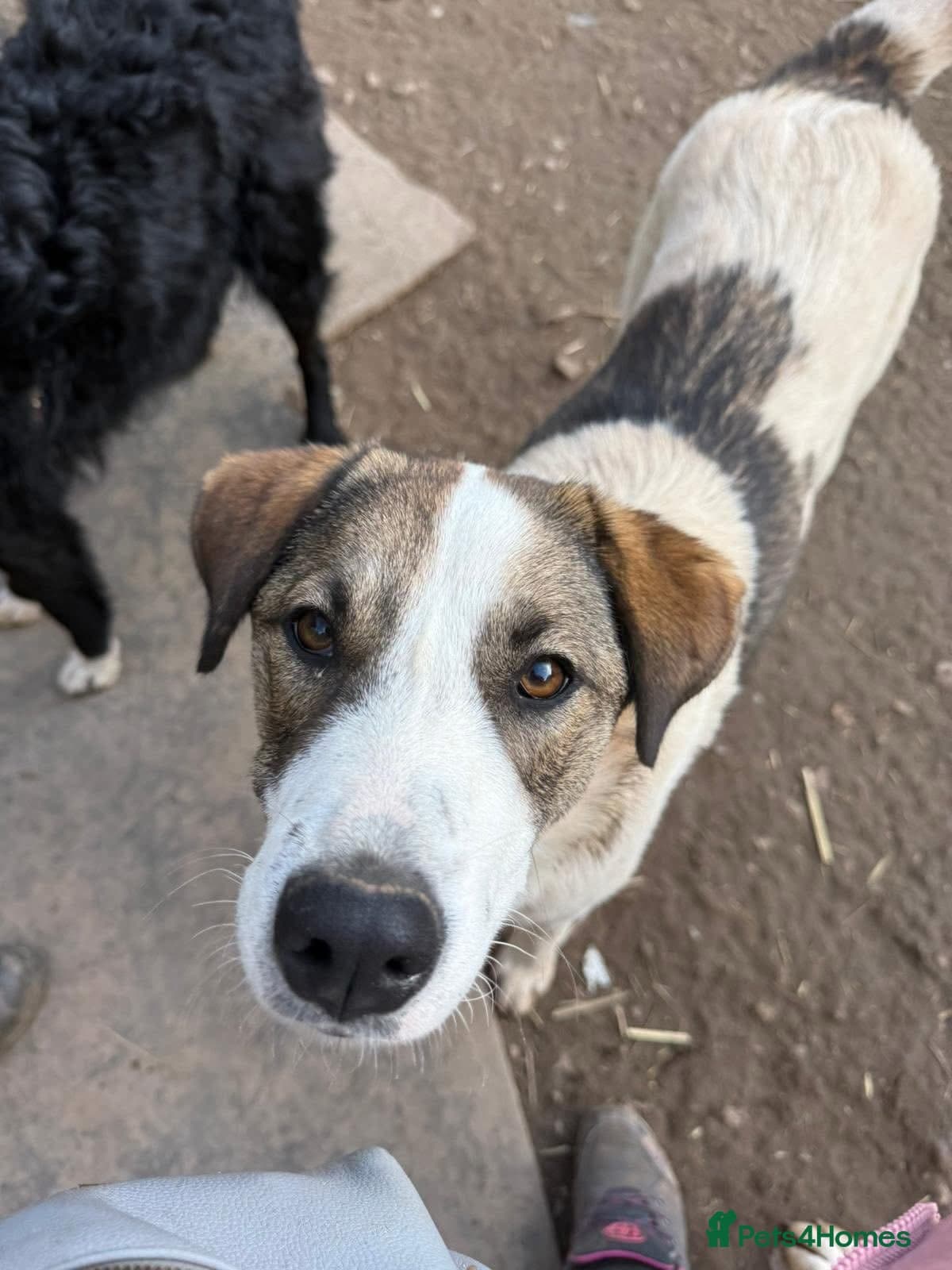 Could you be the family Mercy photo 4