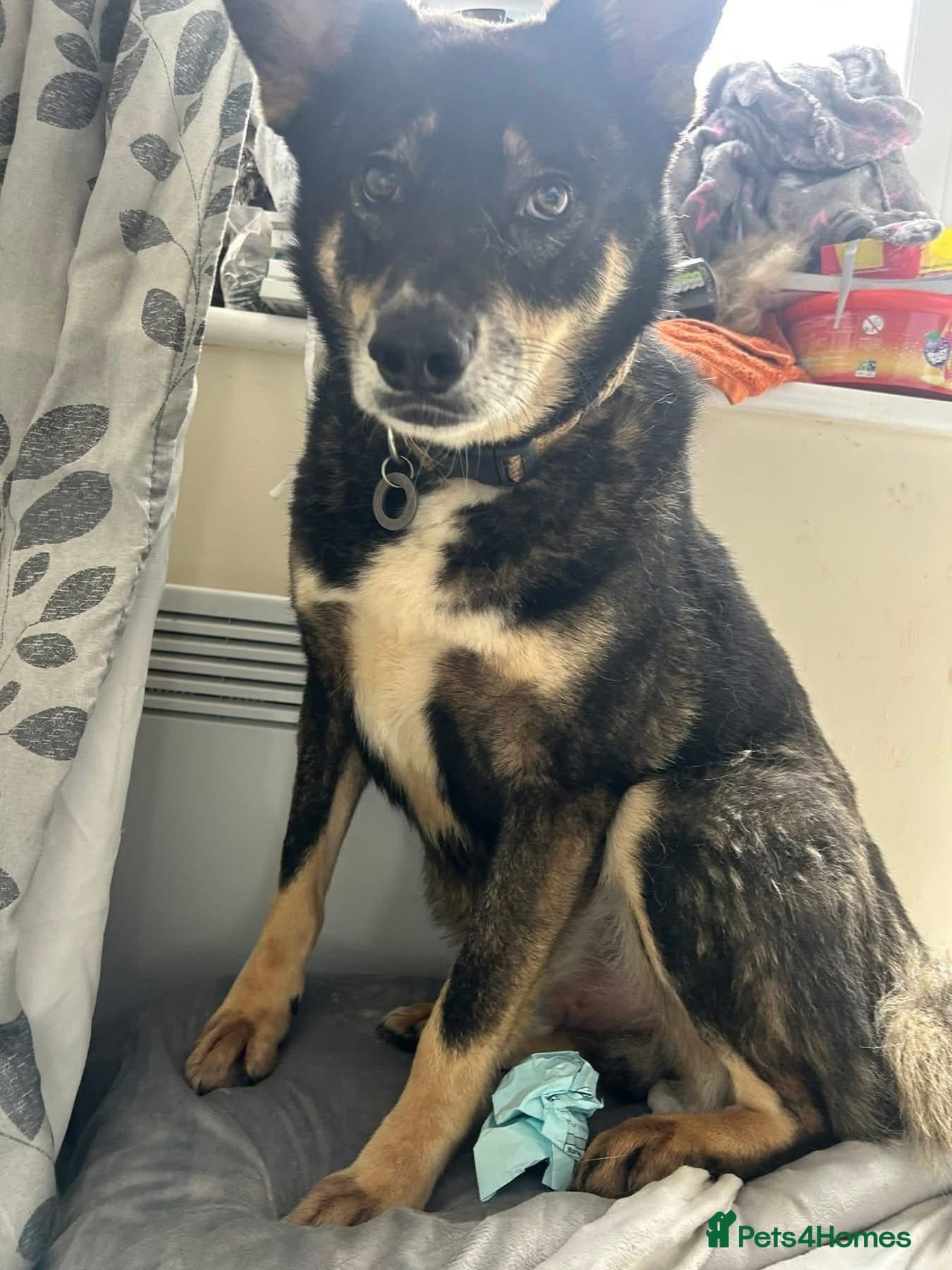 Ben - Norwich Norfolk photo 11