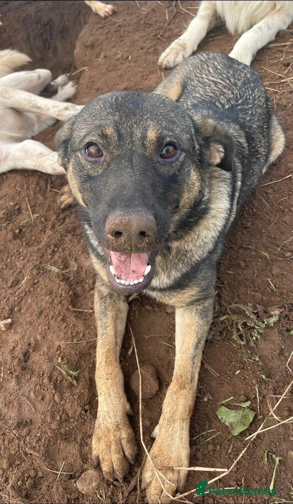 Luna ๐พ๐ photo 9