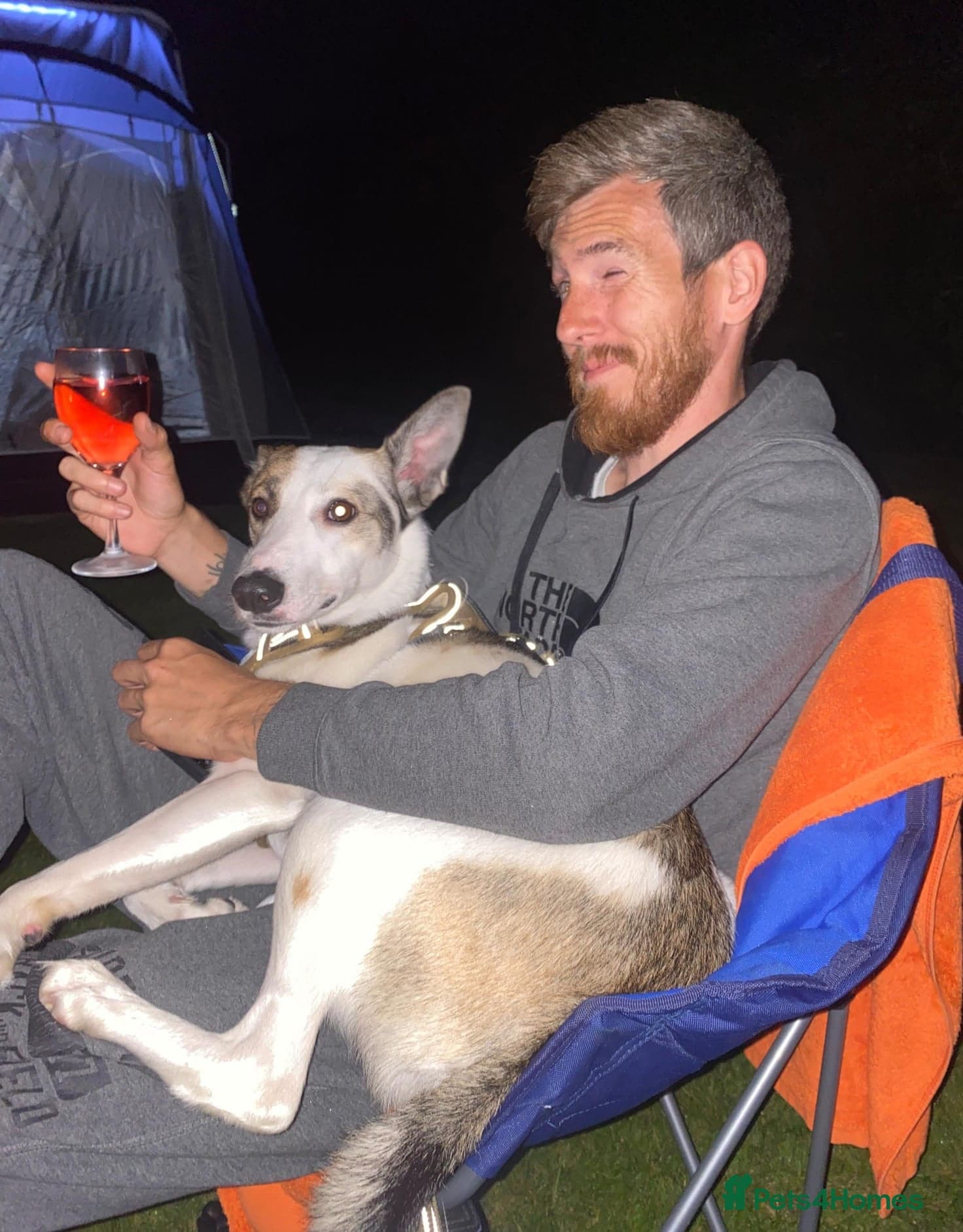 ️🐶 bela photo 6