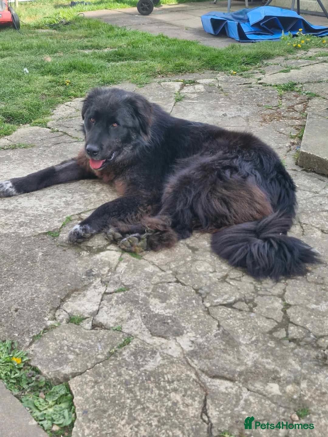 Meet Bryony, currently residing in Kent photo 3